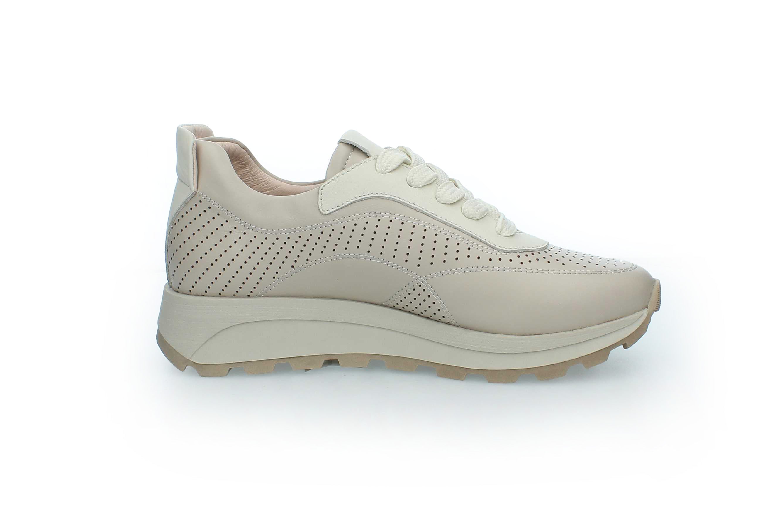 Flair | 62010