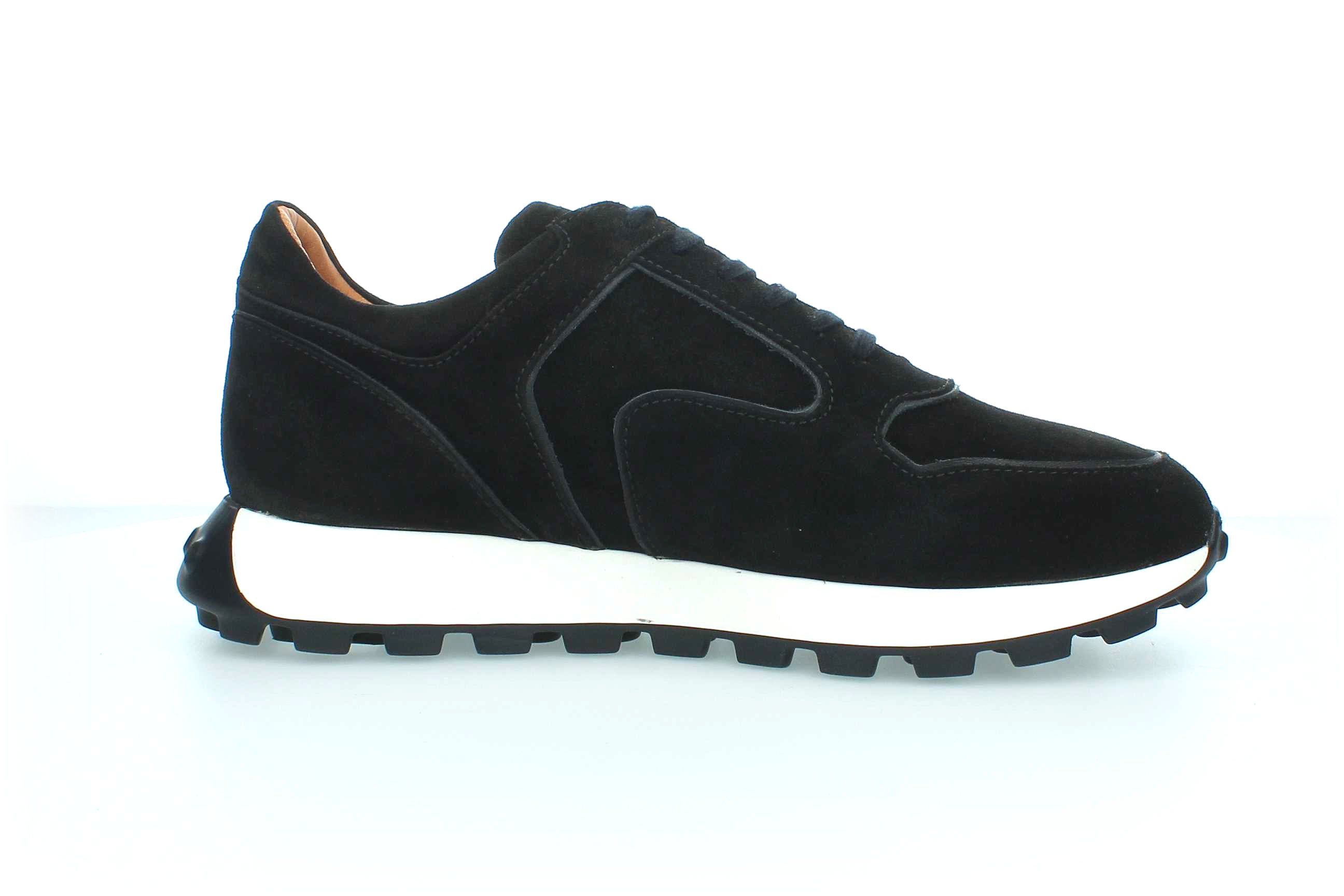ZenithWalk | 80163