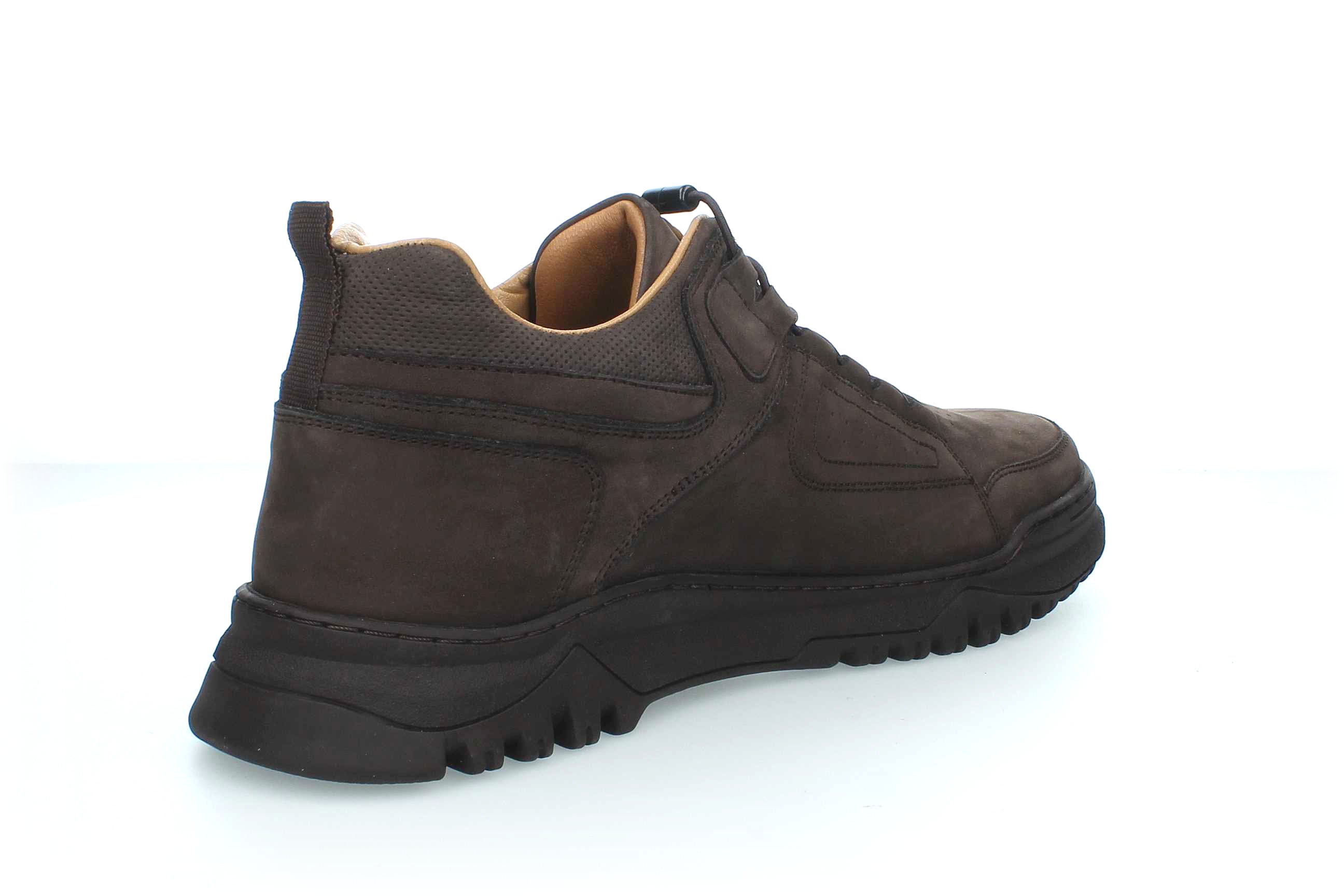 TerraStride | 2451