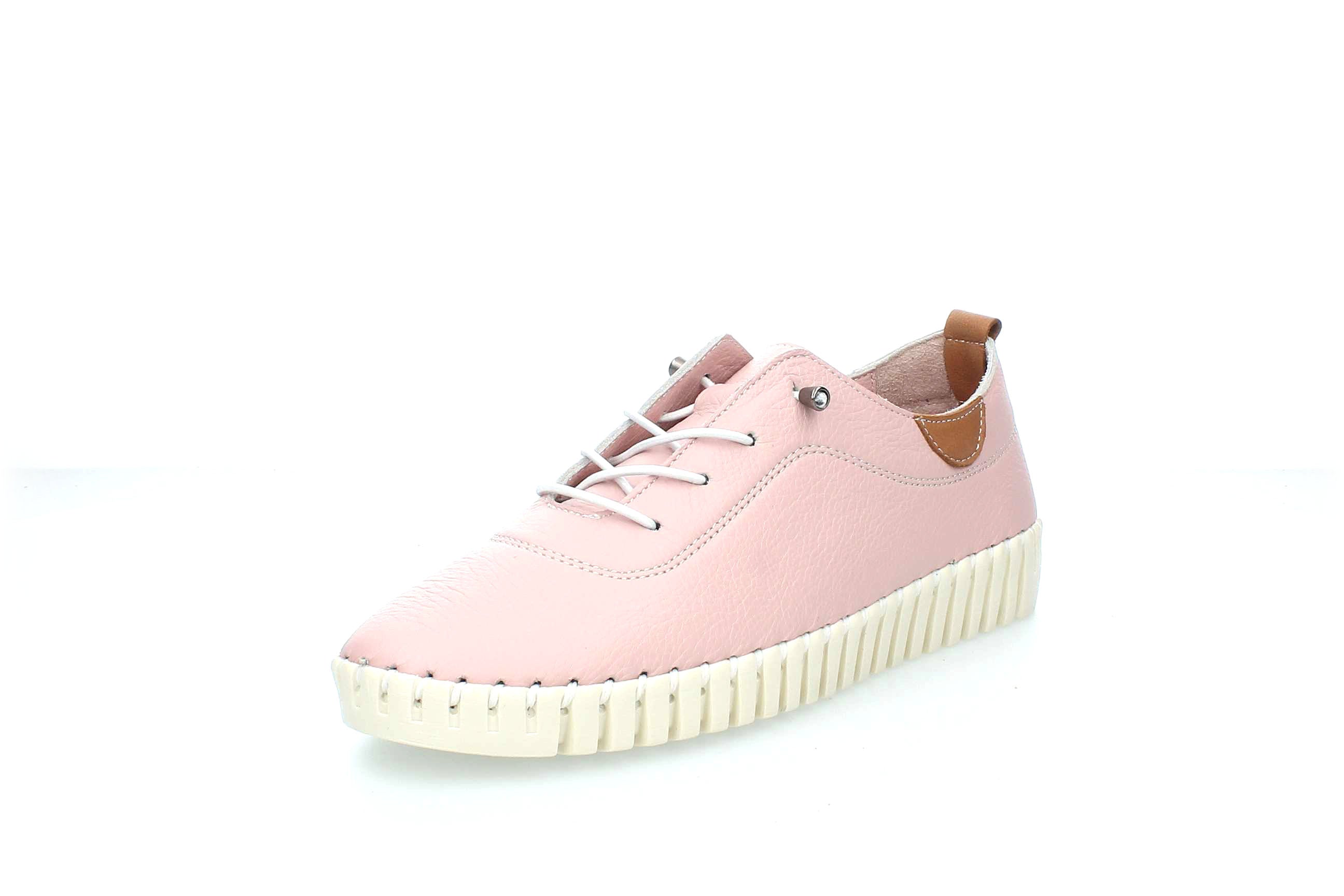 ColorBloom | 23535