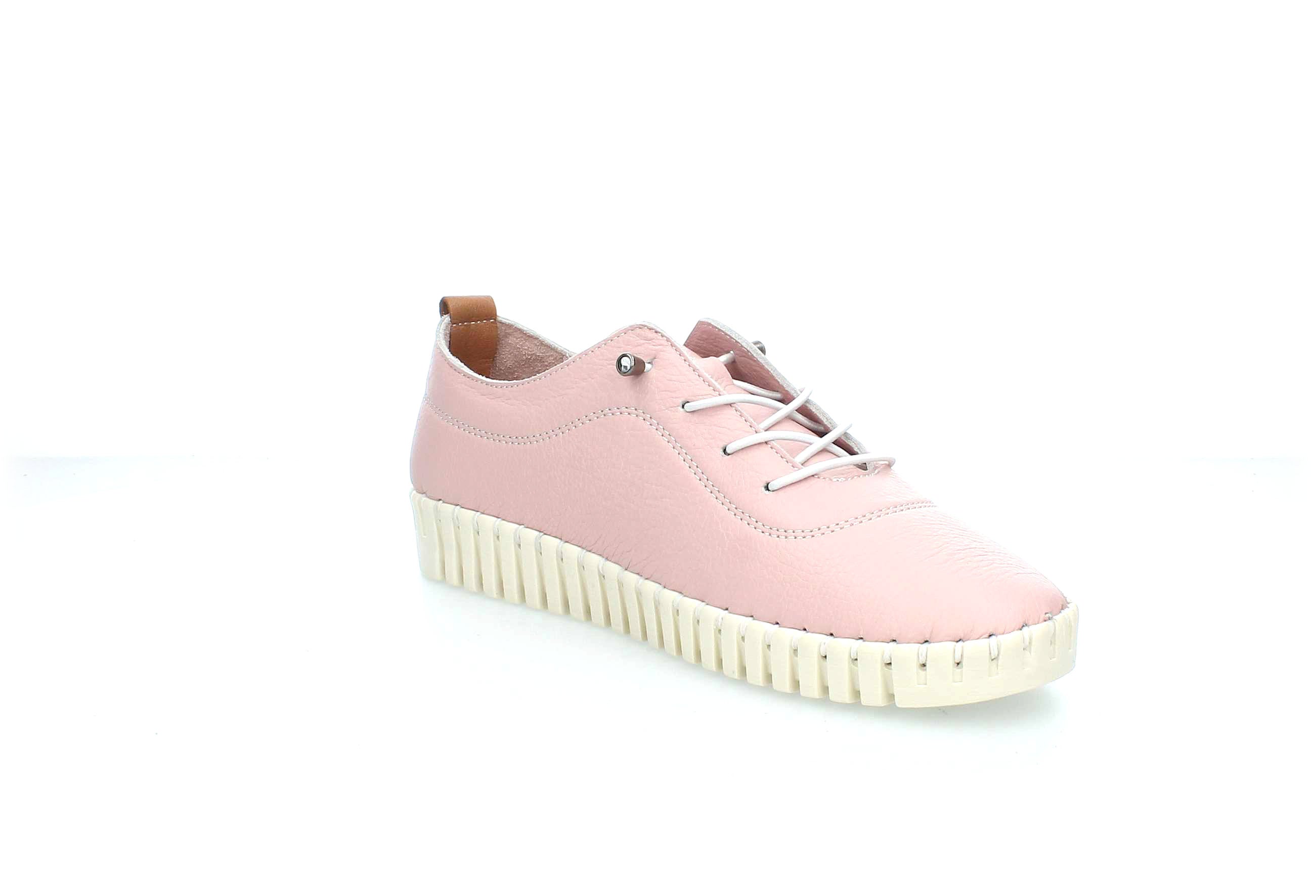 ColorBloom | 23535