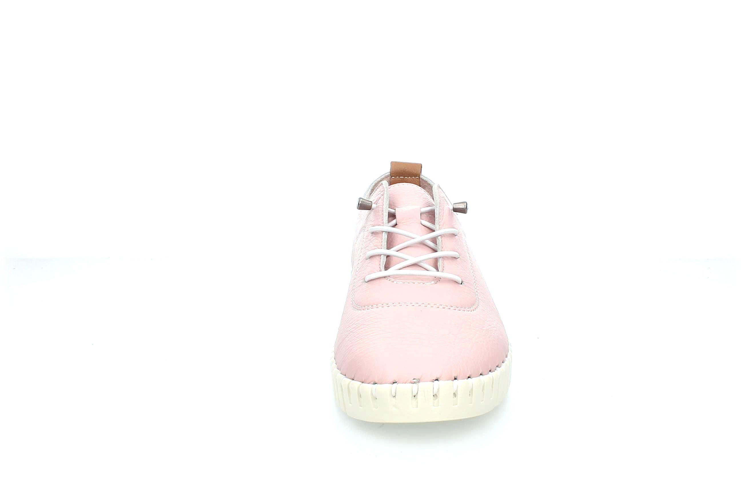 ColorBloom | 23535