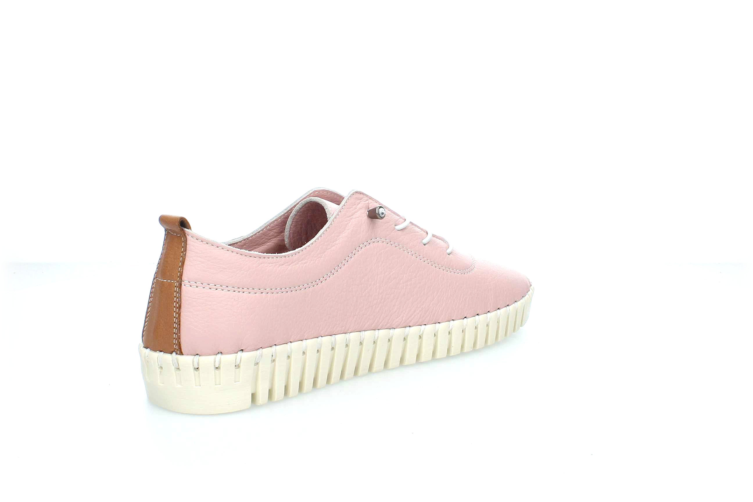 ColorBloom | 23535