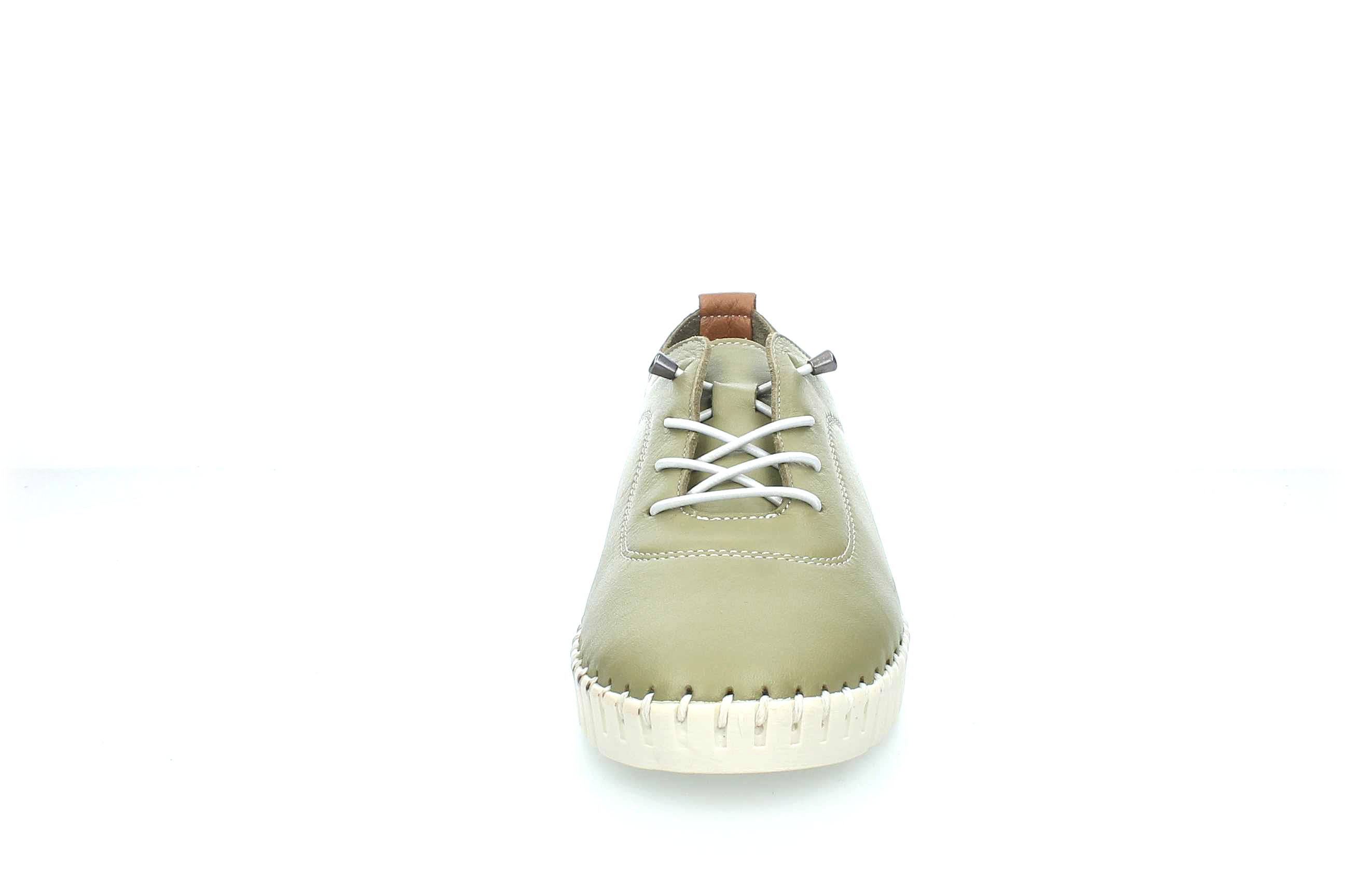 ColorBloom | 23535