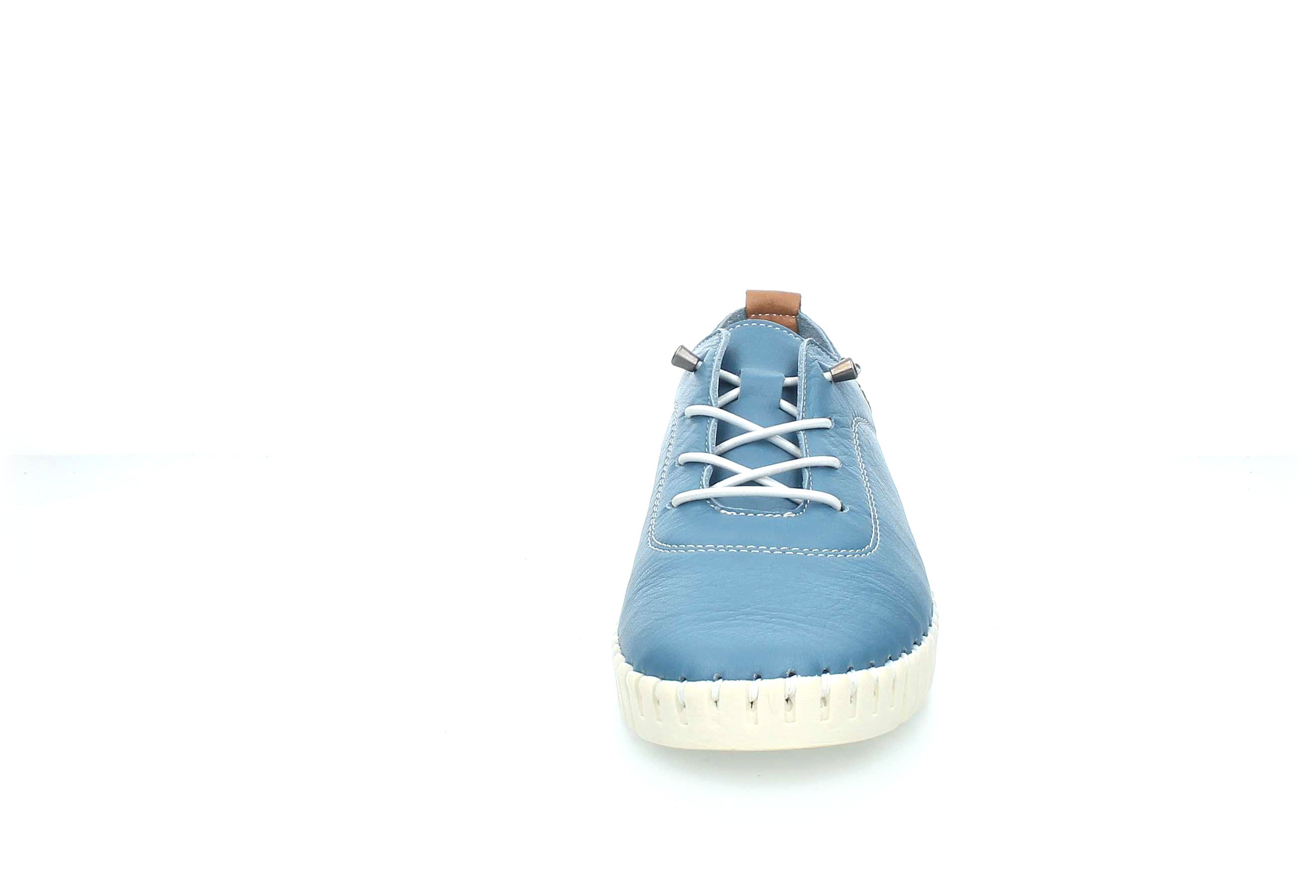 ColorBloom | 23535