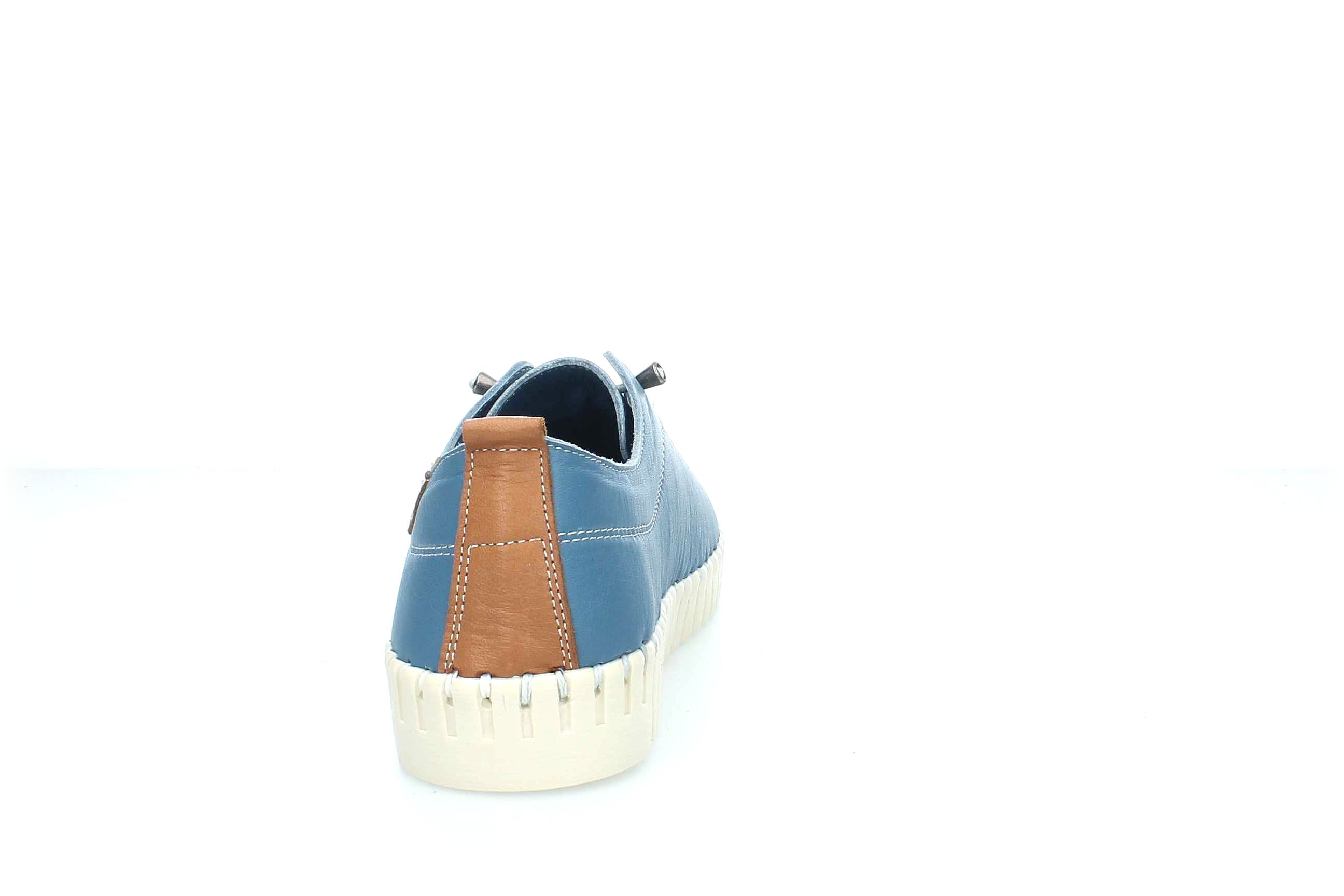 ColorBloom | 23535
