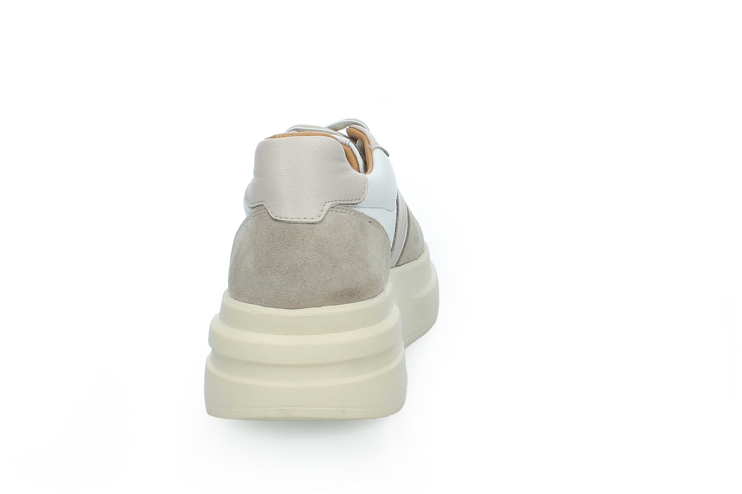 SolaceWalk | 2554