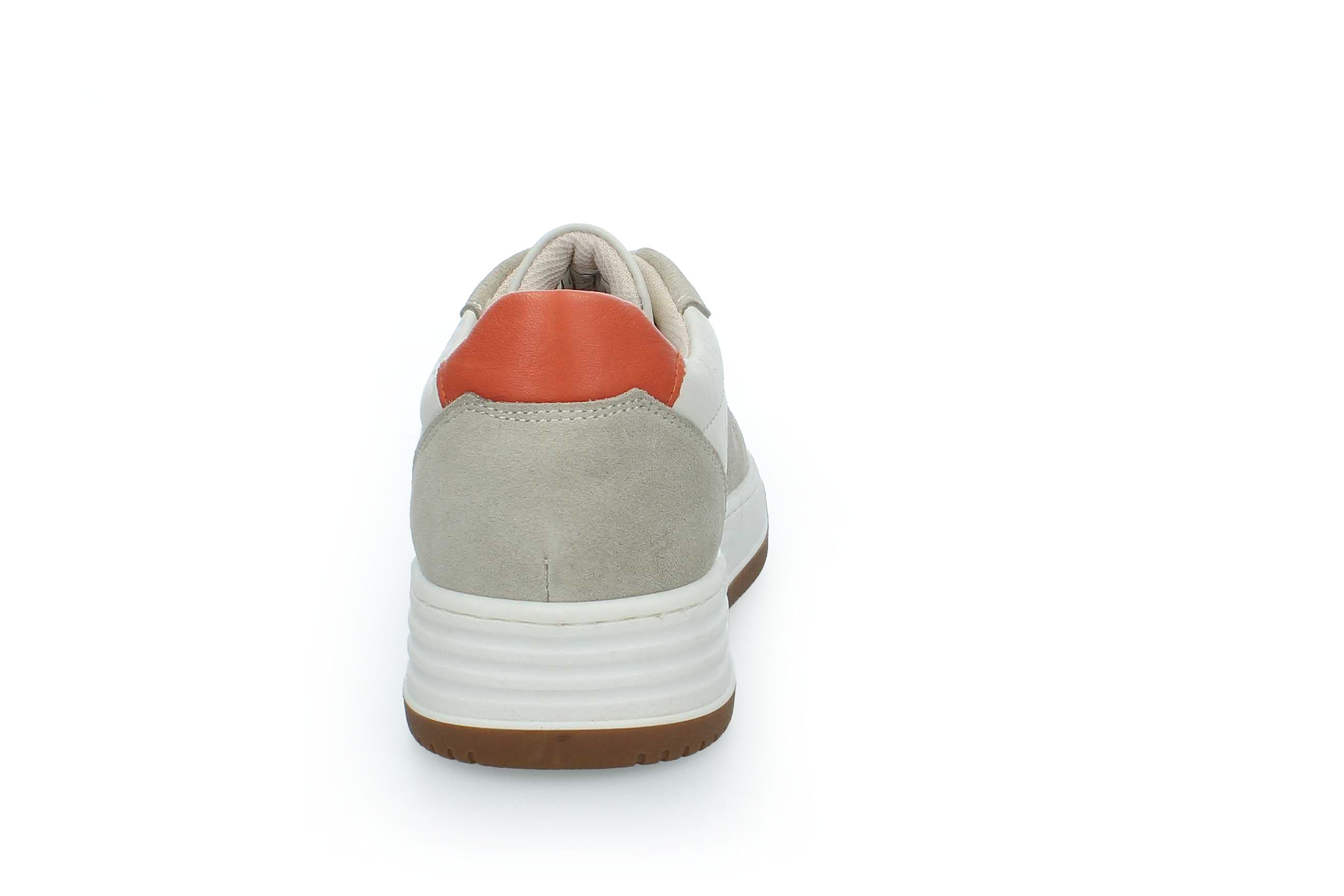 VividStride | HORACE