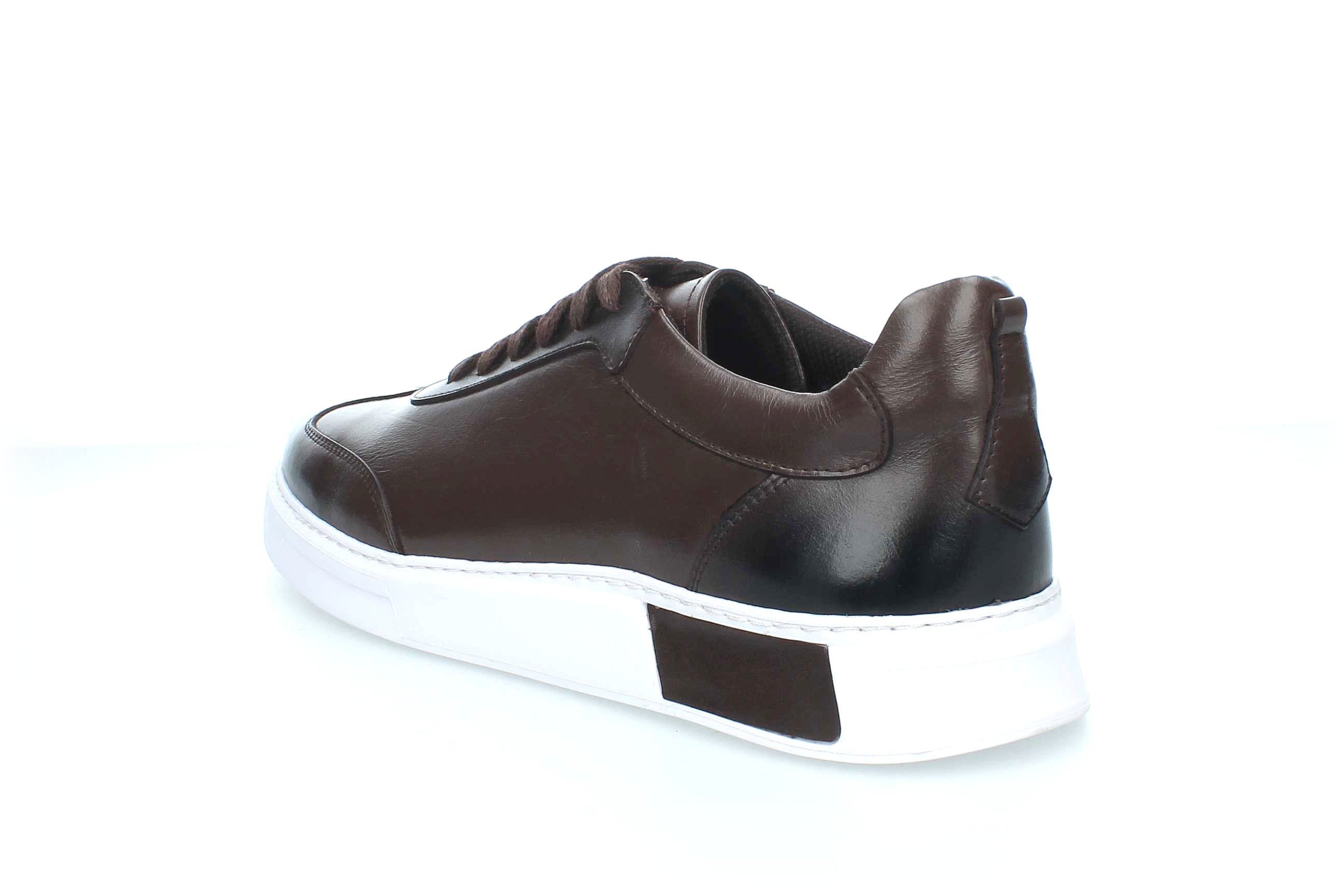 EverydayEase | D-19103