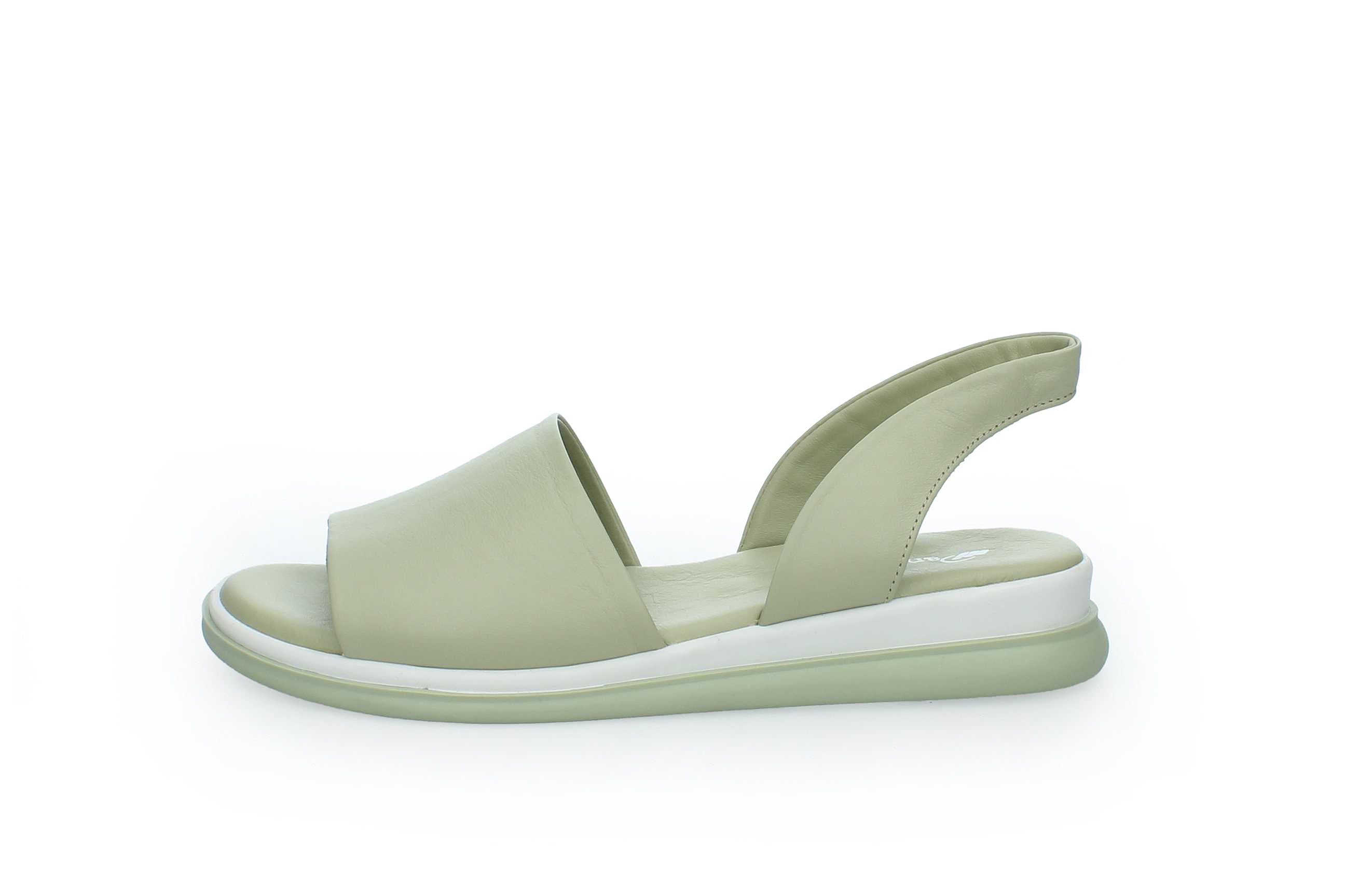 TranquilEase | 146857