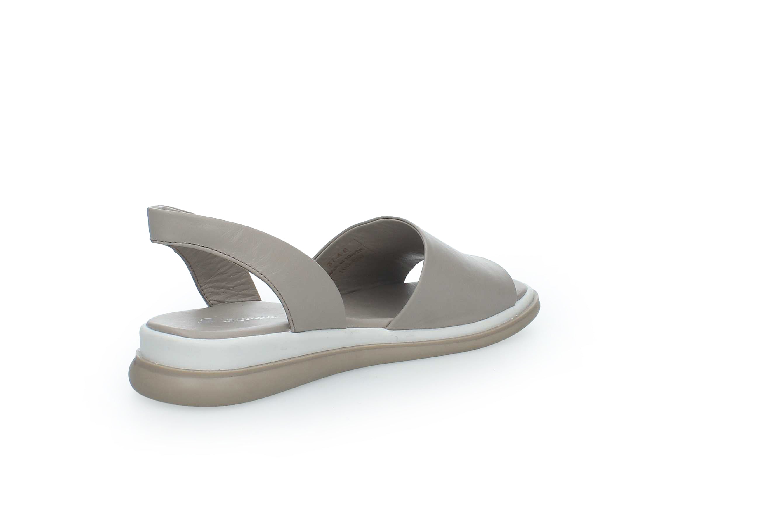 TranquilEase | 146857