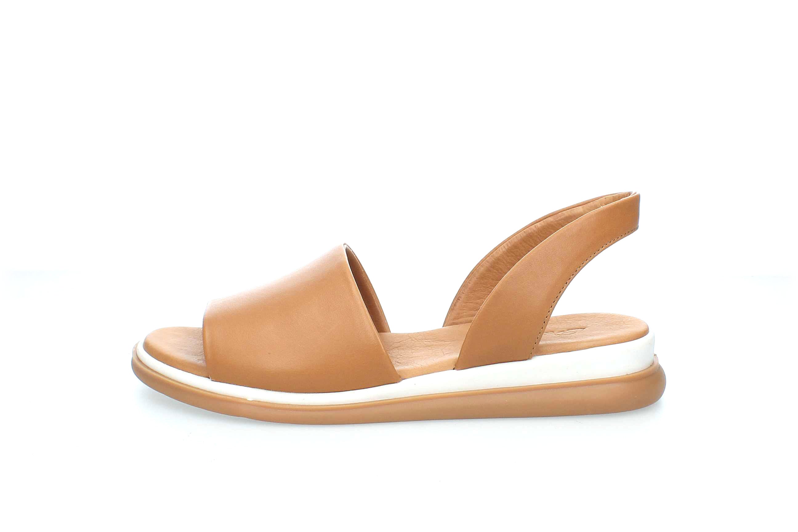 TranquilEase | 146857