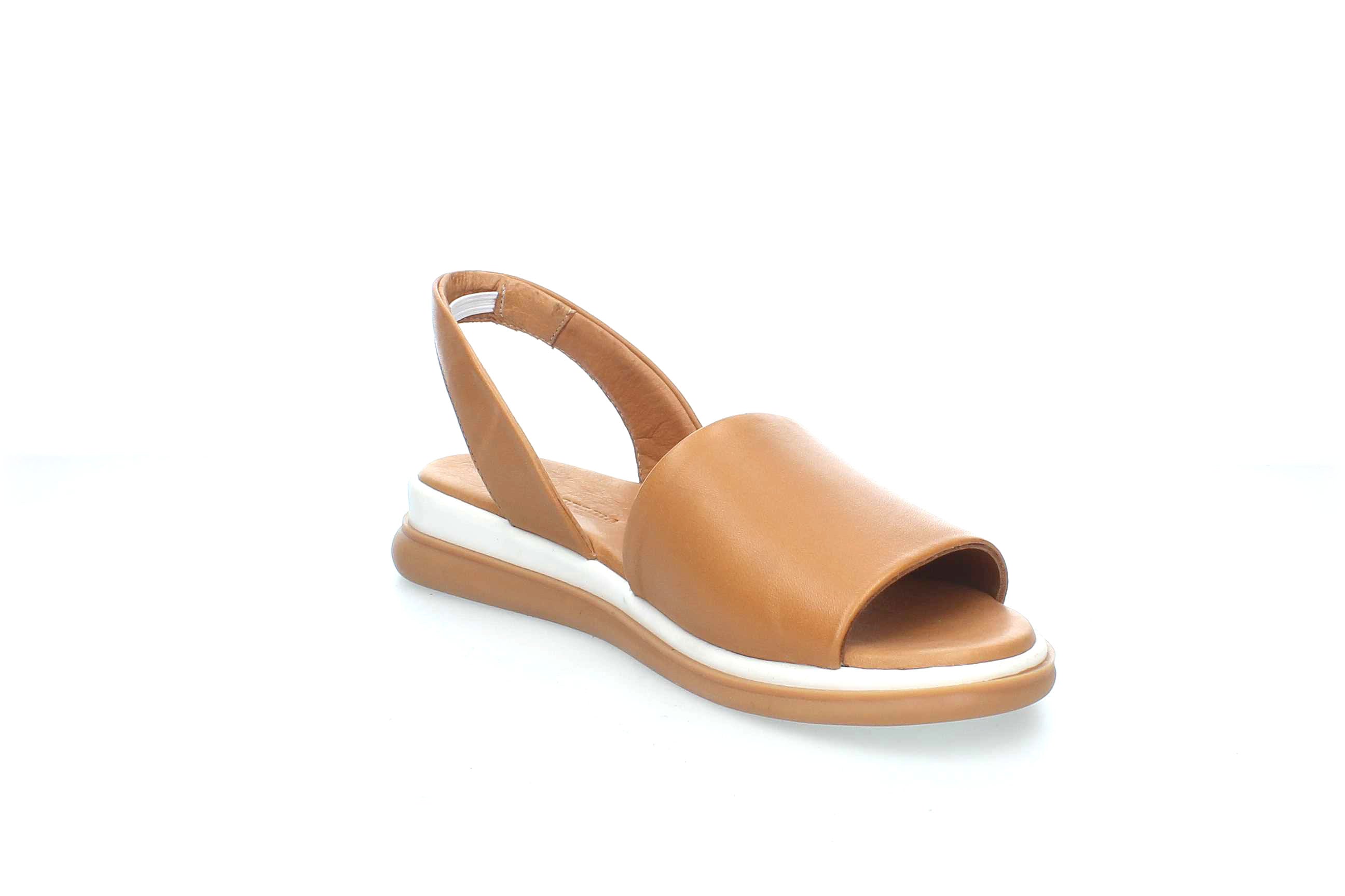 TranquilEase | 146857