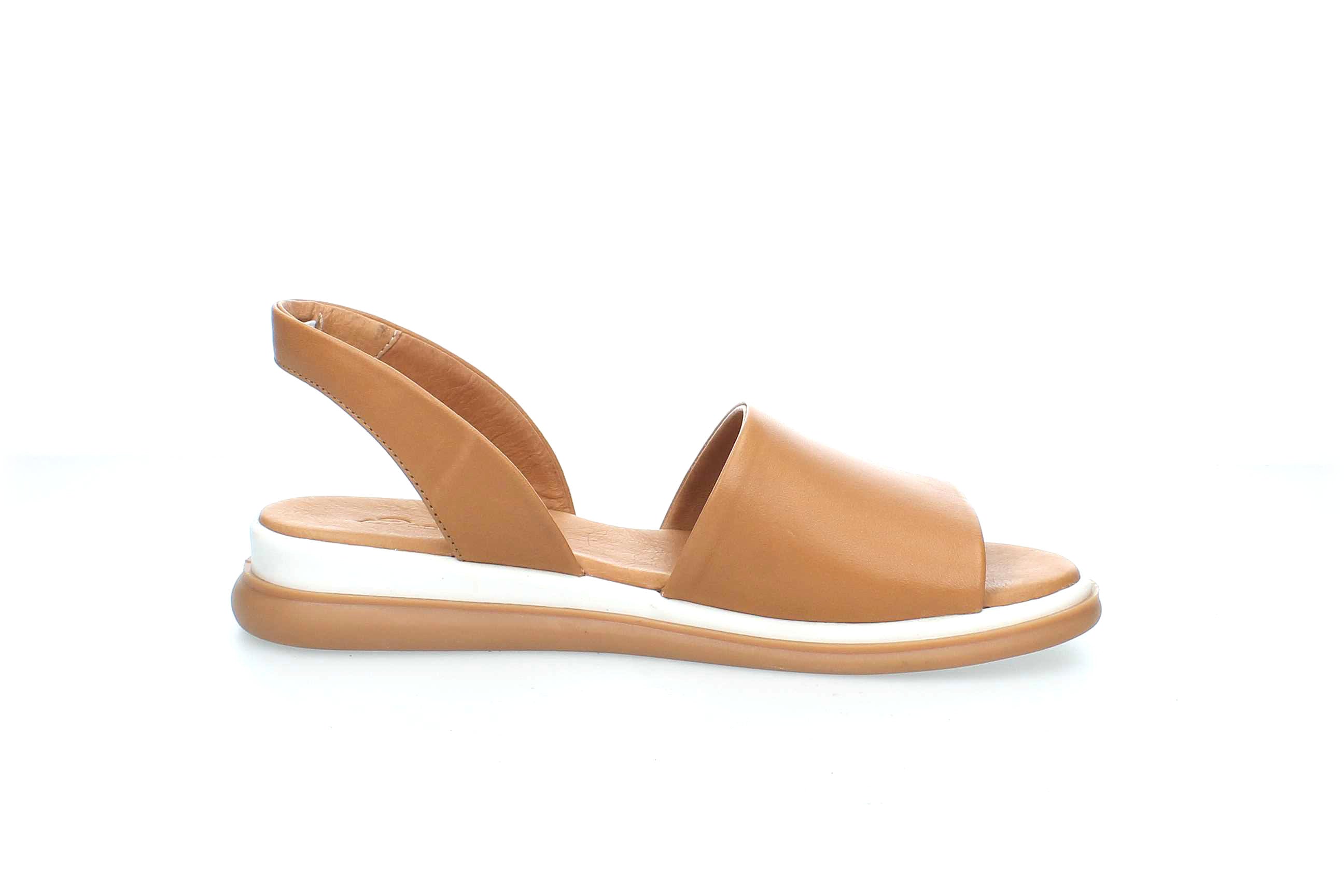 TranquilEase | 146857