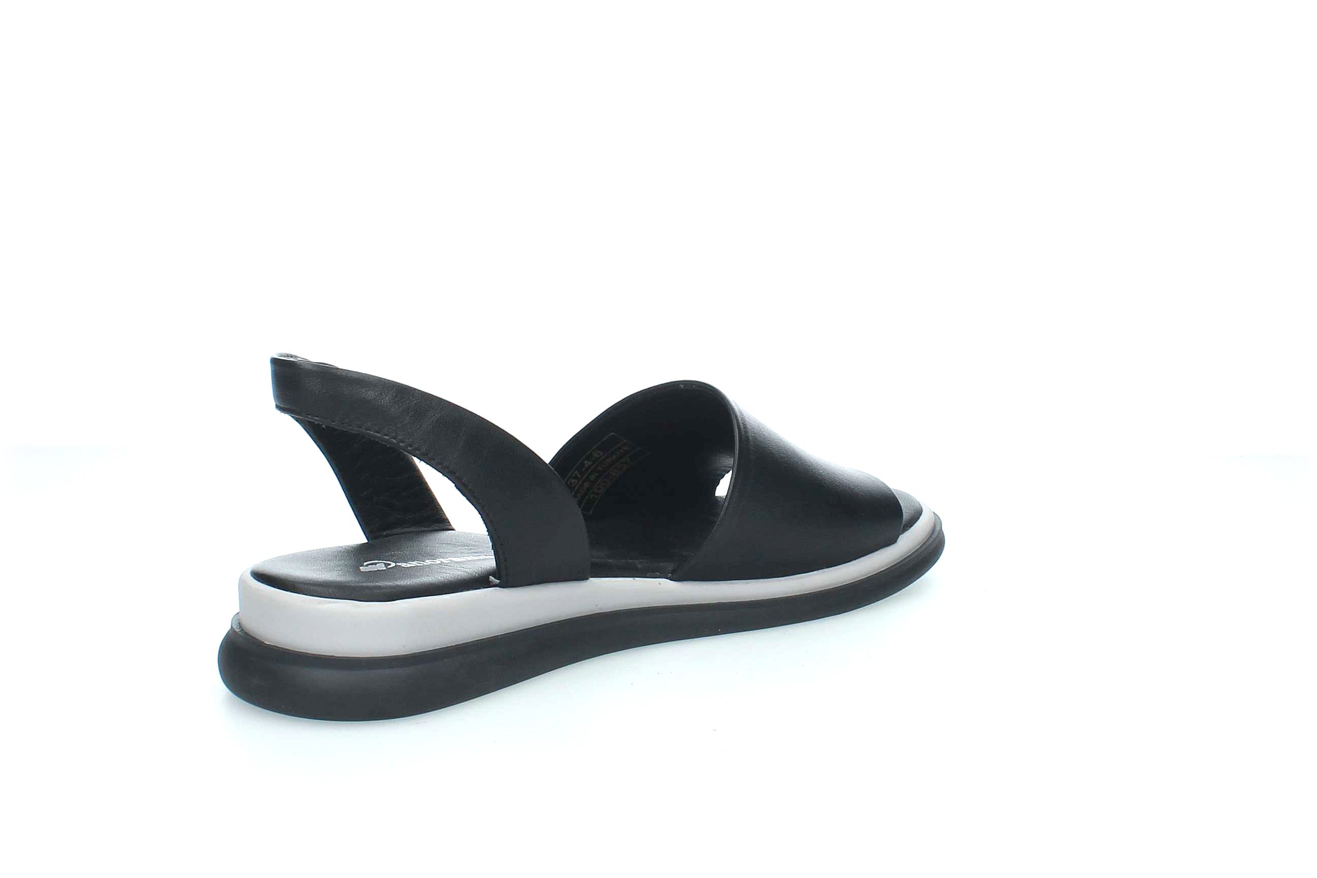 TranquilEase | 146857