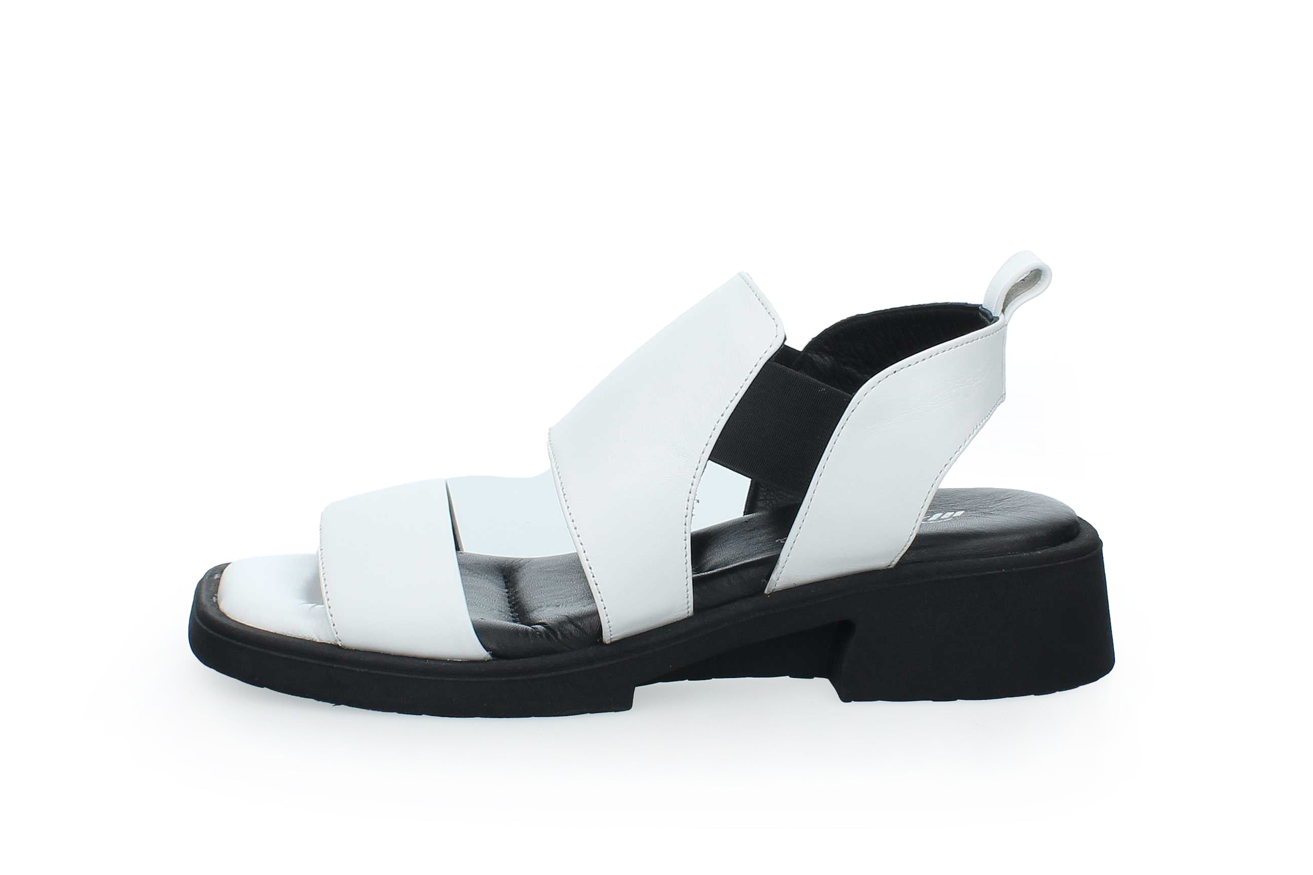 SummerGleam | 049-SC-770