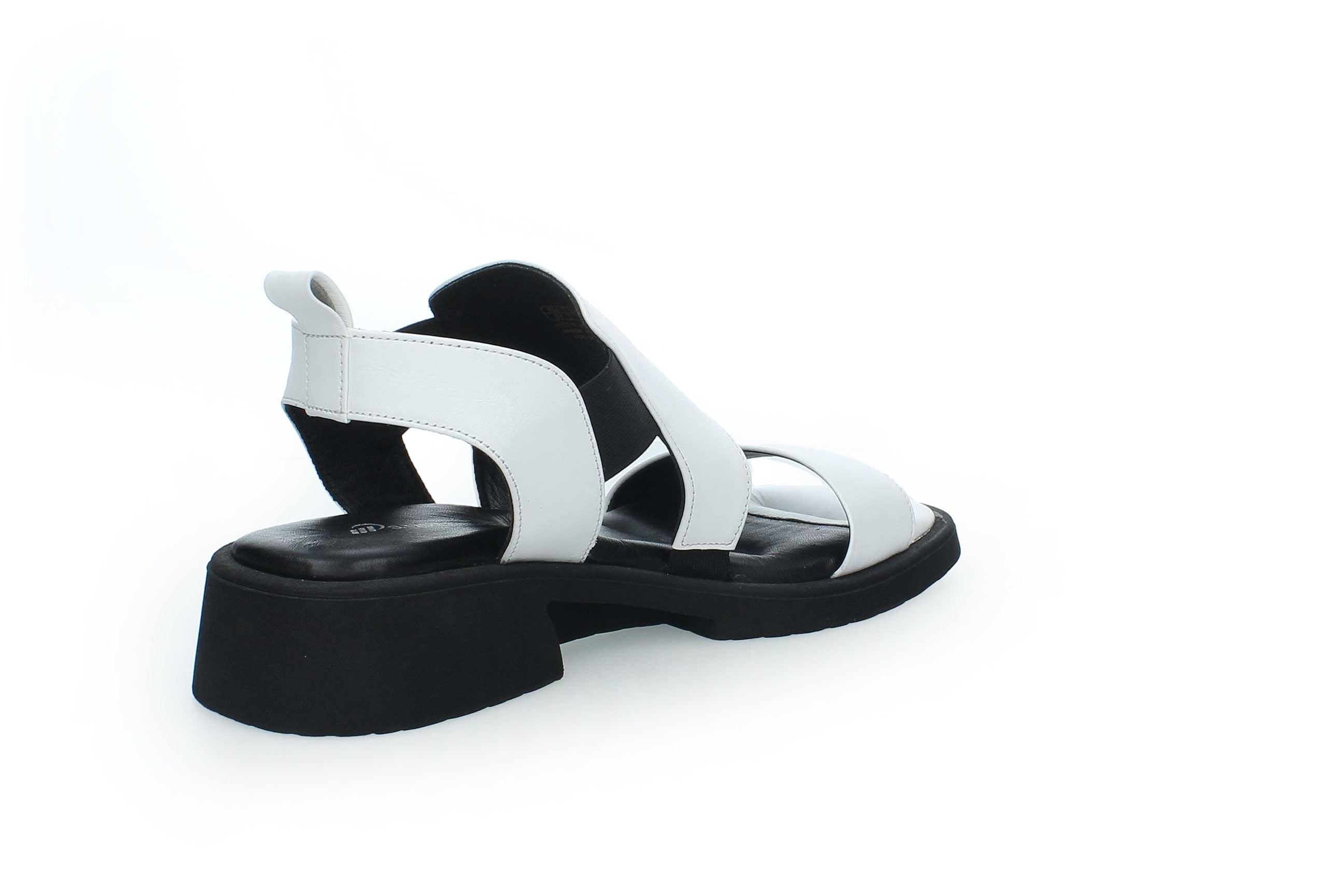 SummerGleam | 049-SC-770