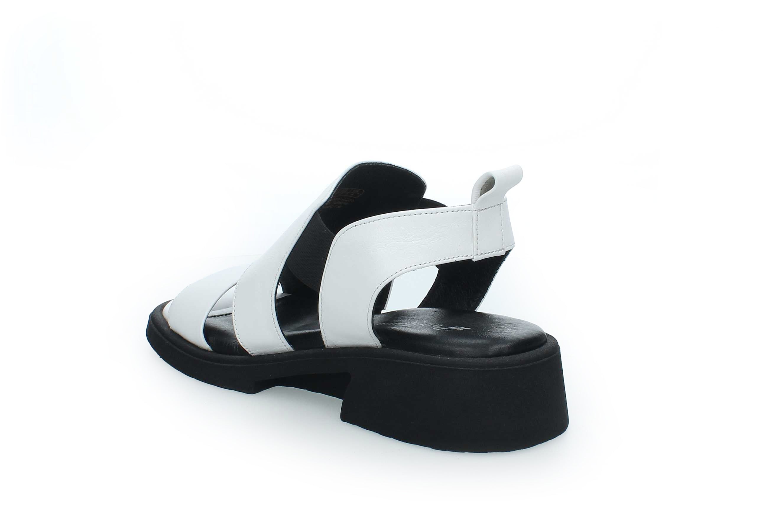 SummerGleam | 049-SC-770