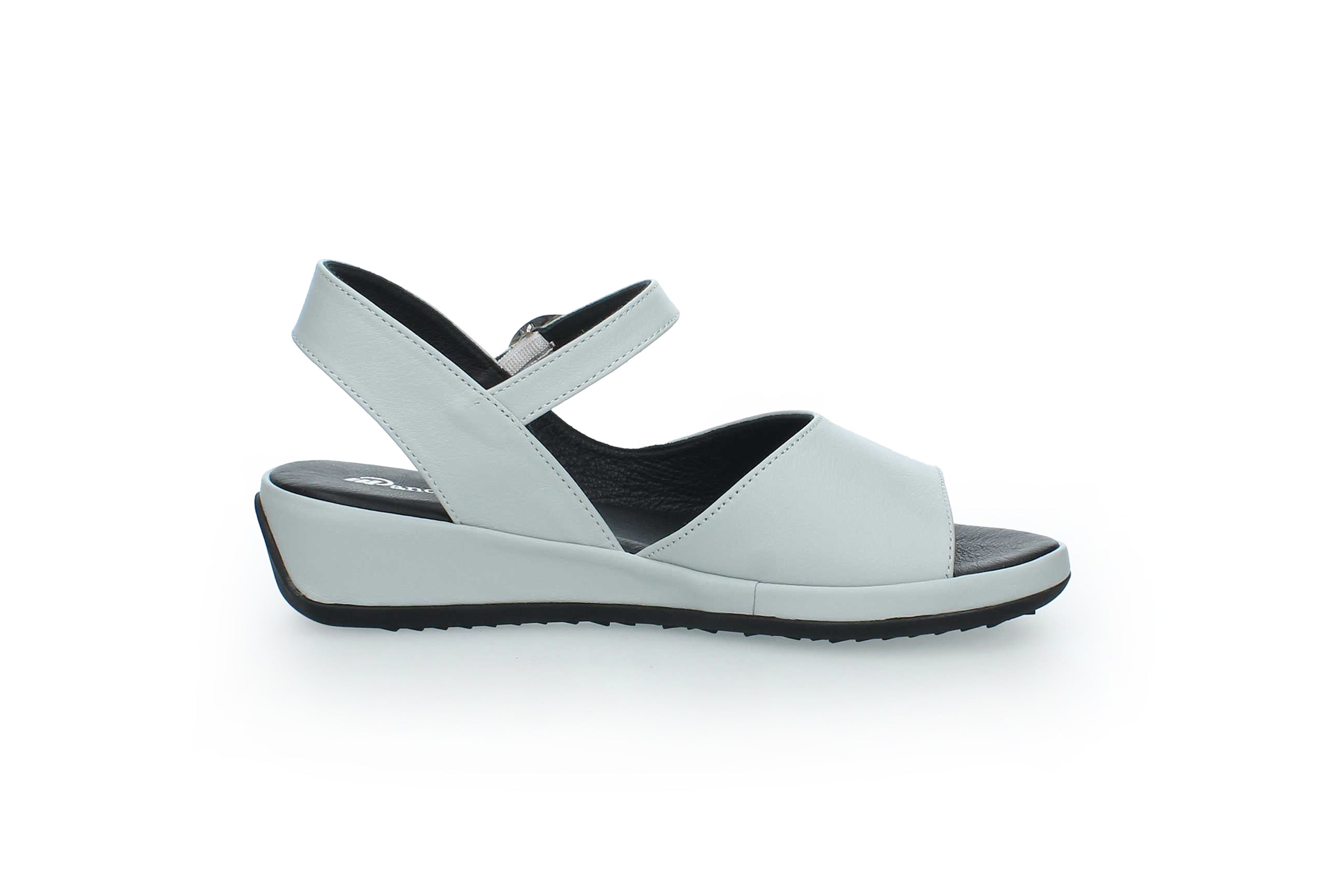 GraceWalk | 207-428