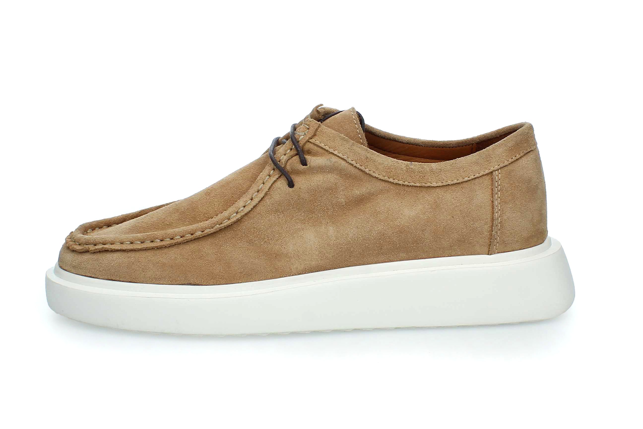 DesertStride | 4430