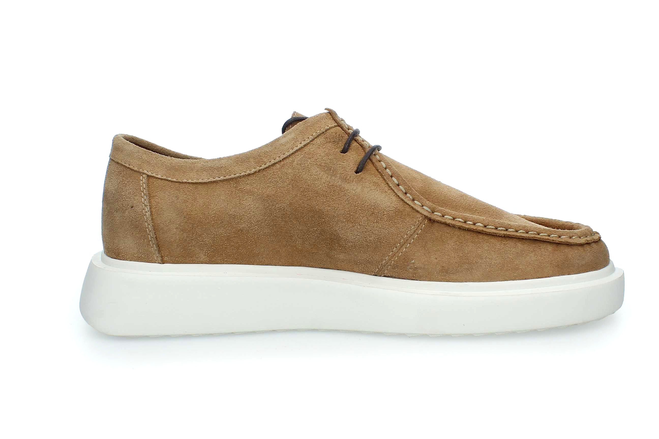 DesertStride | 4430