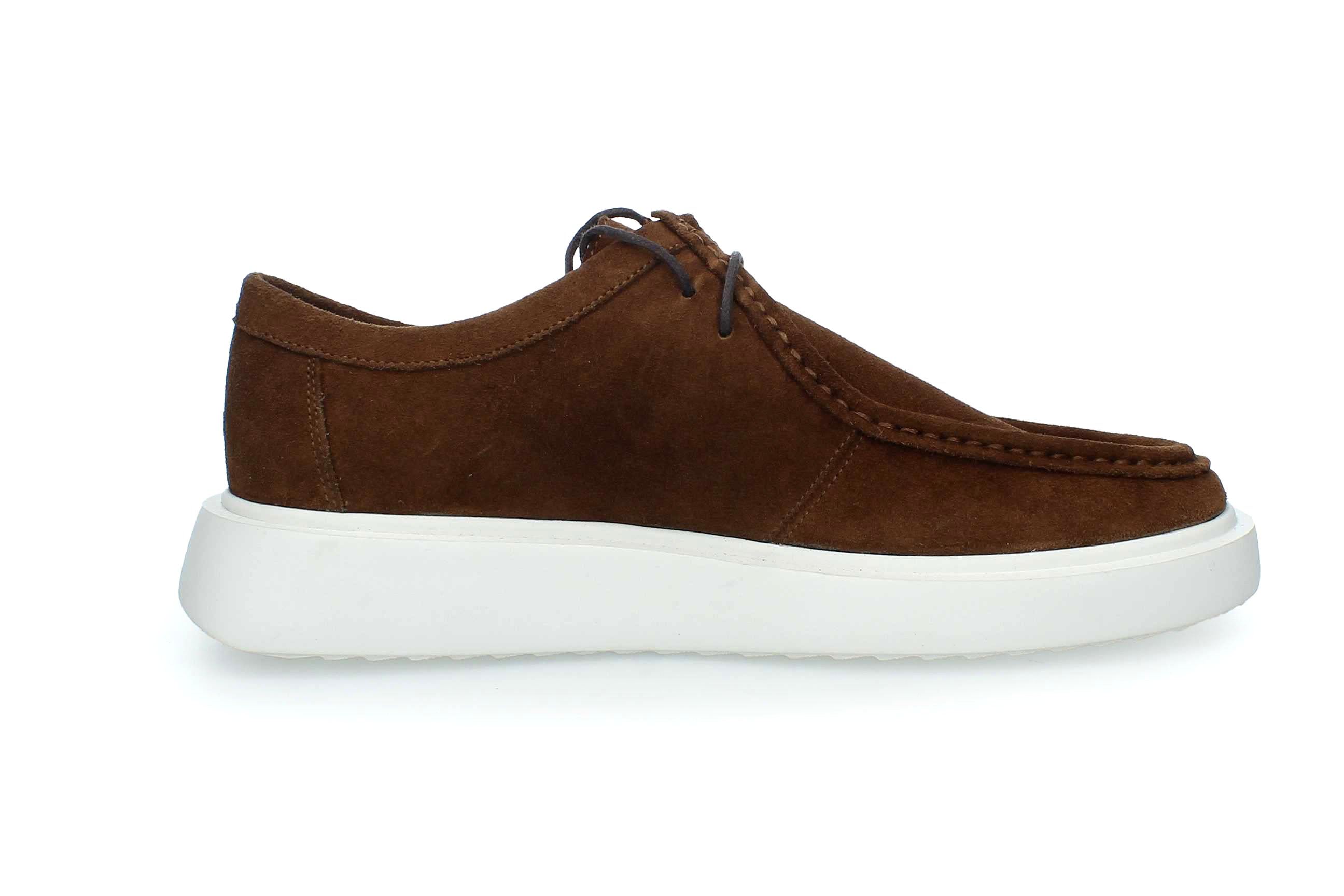 DesertStride | 4430