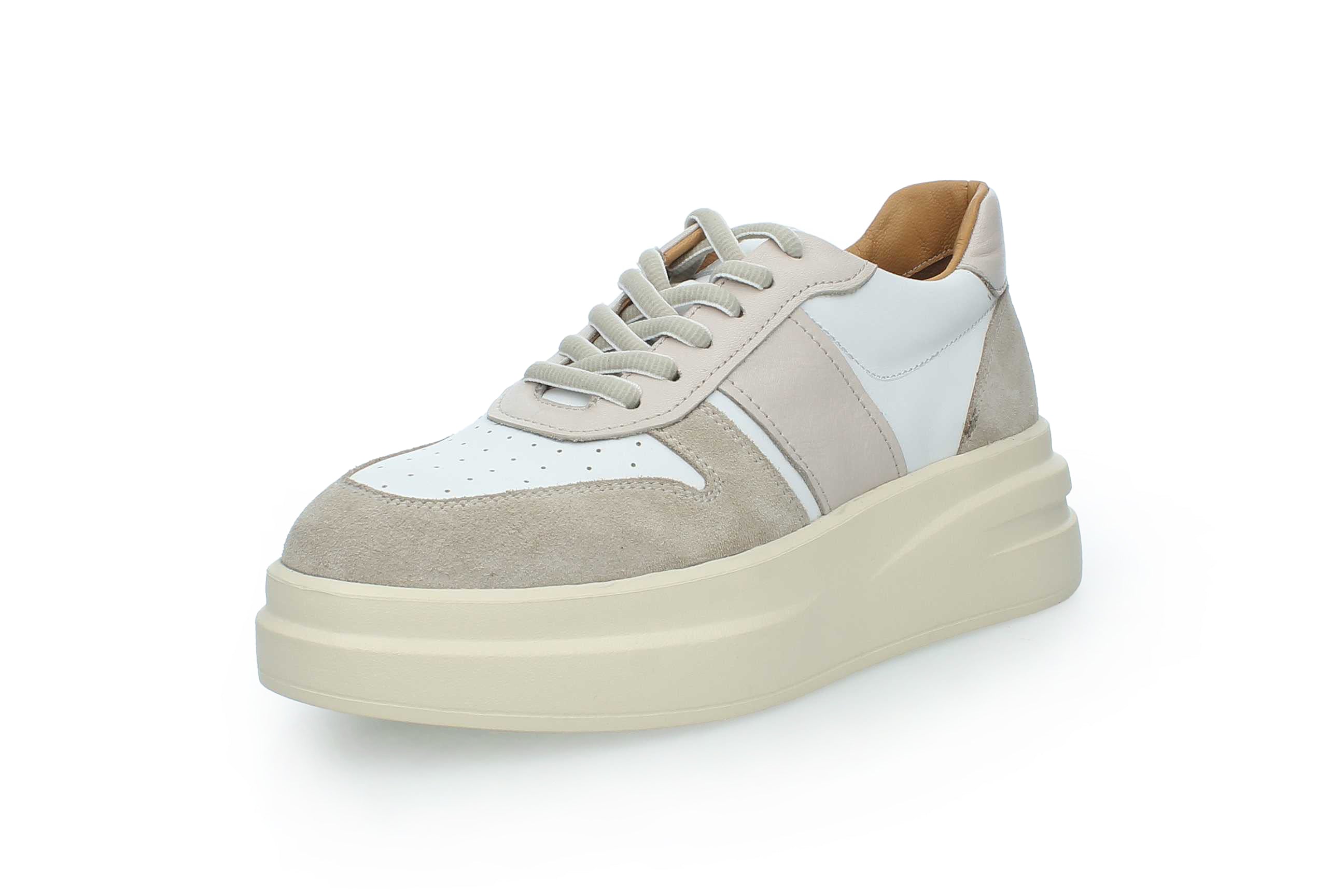 SolaceWalk | 2554