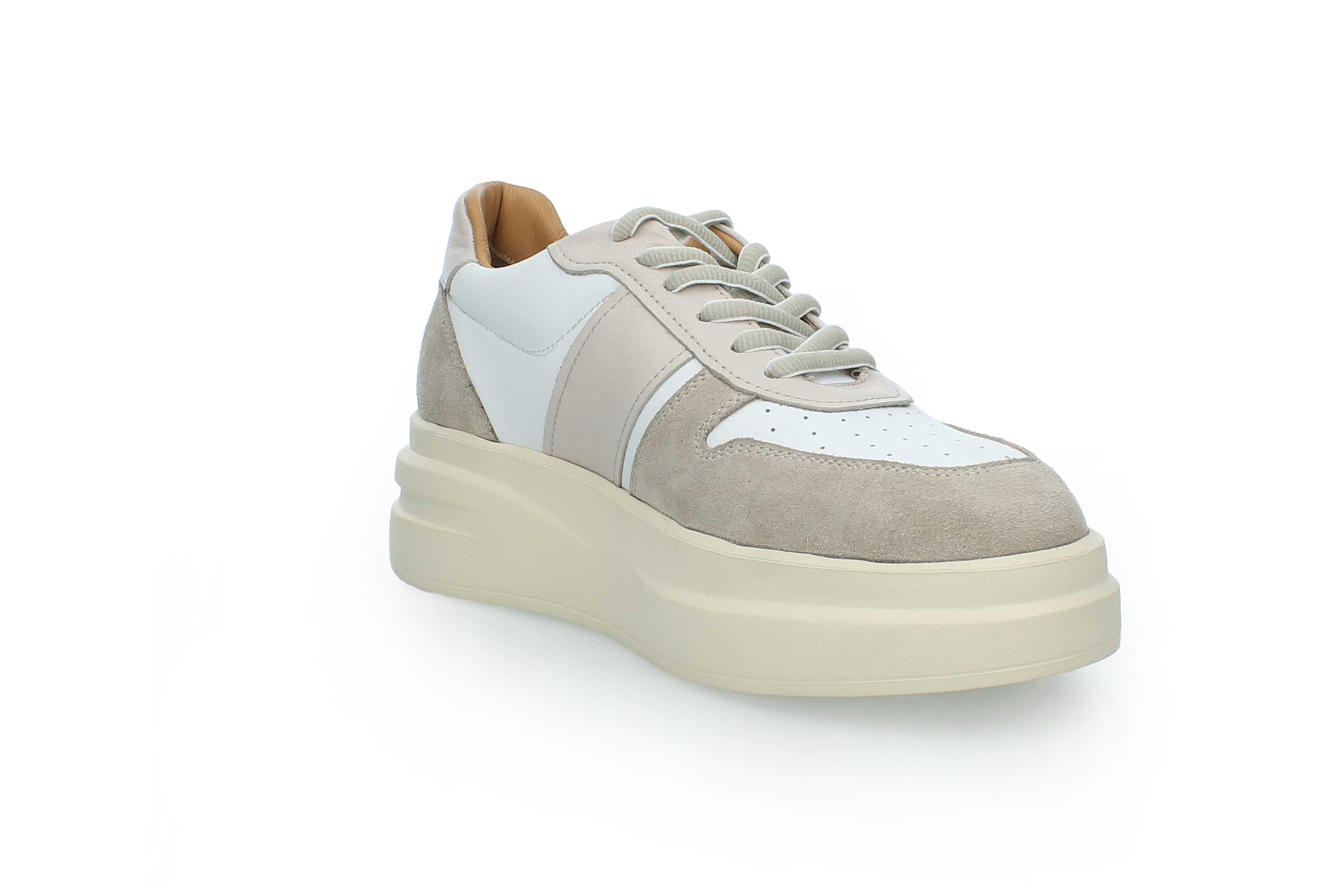 SolaceWalk | 2554