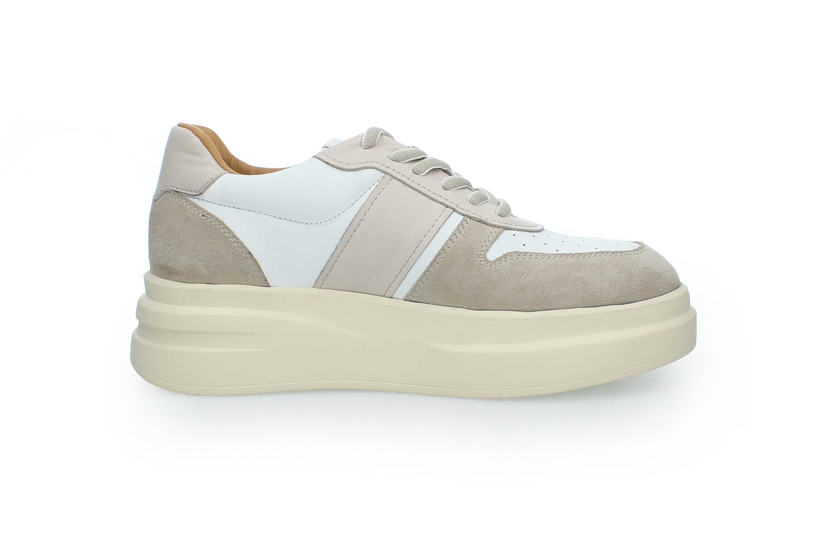 SolaceWalk | 2554