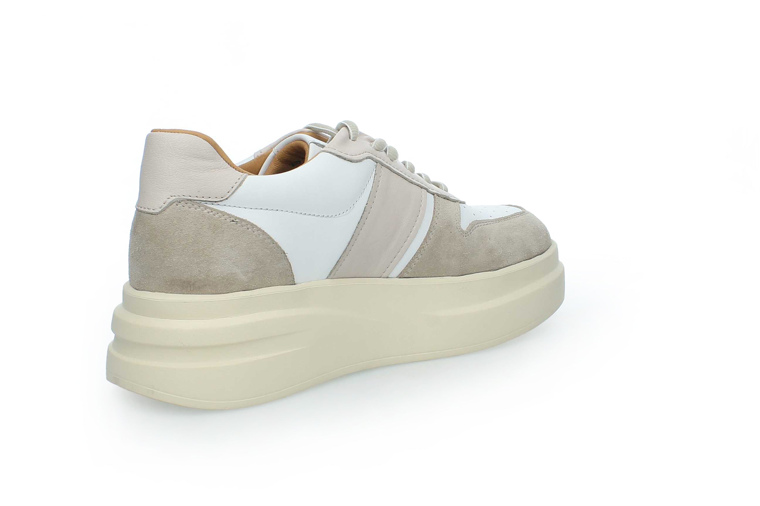 SolaceWalk | 2554