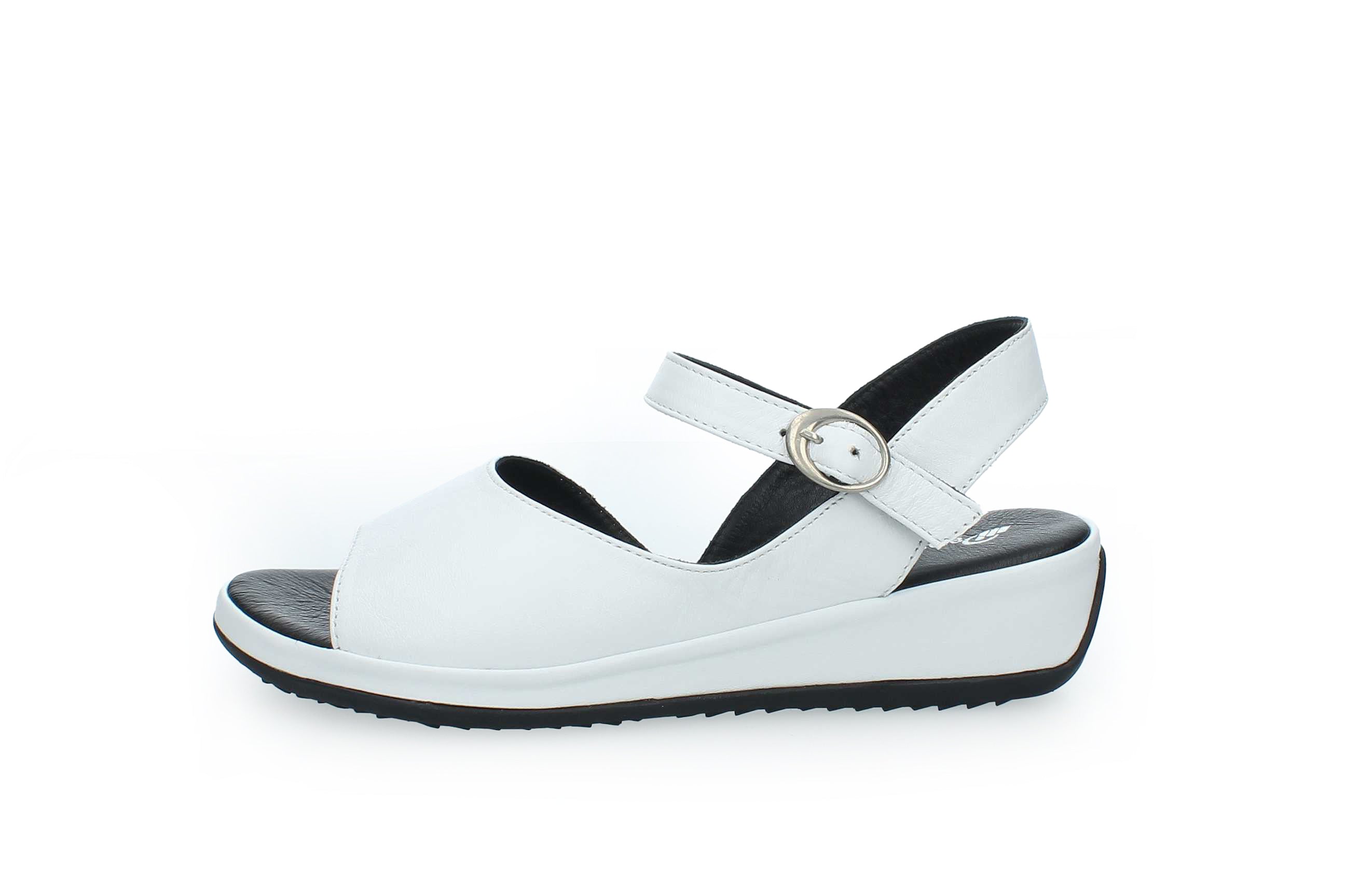 GraceWalk | 207-428
