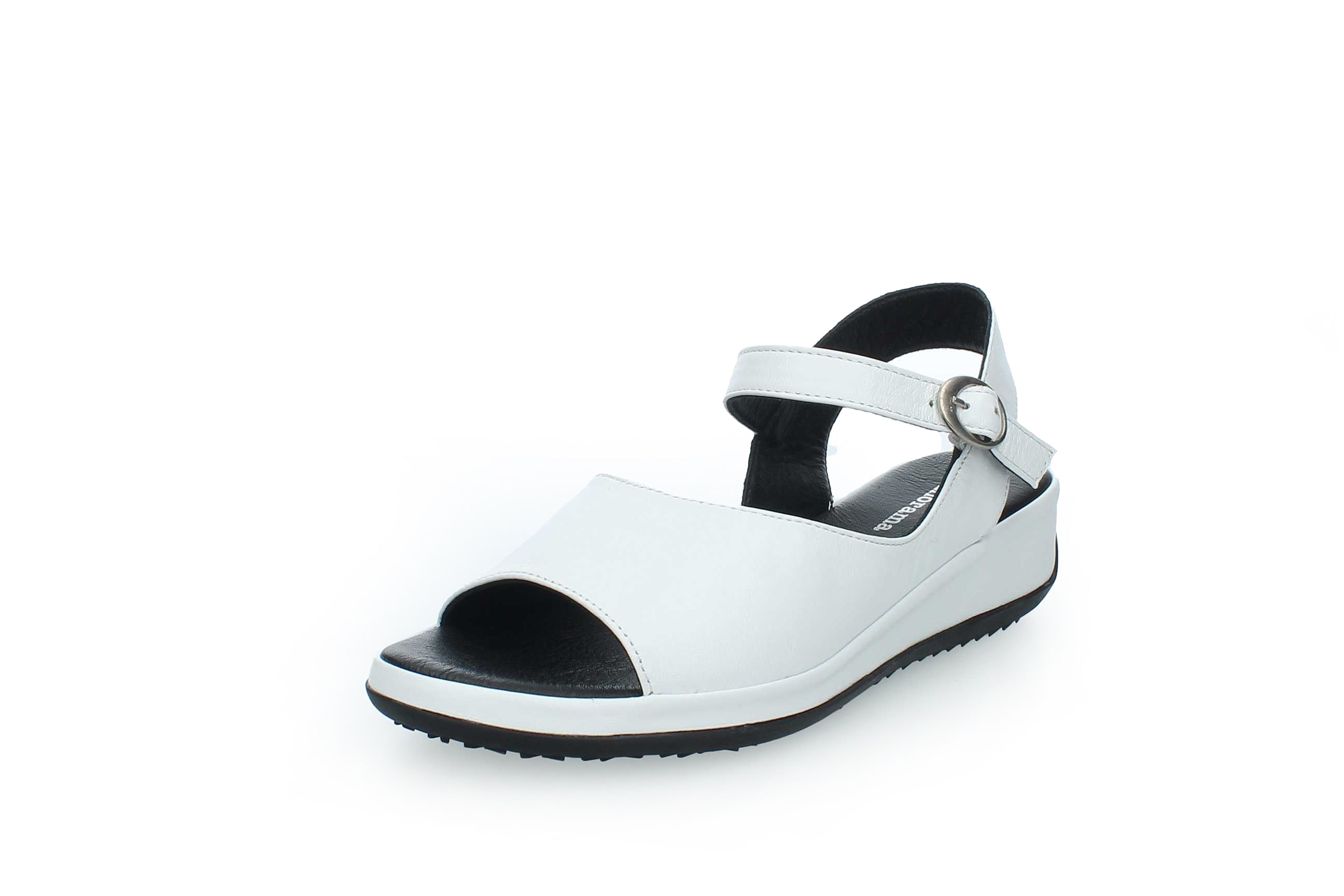 GraceWalk | 207-428