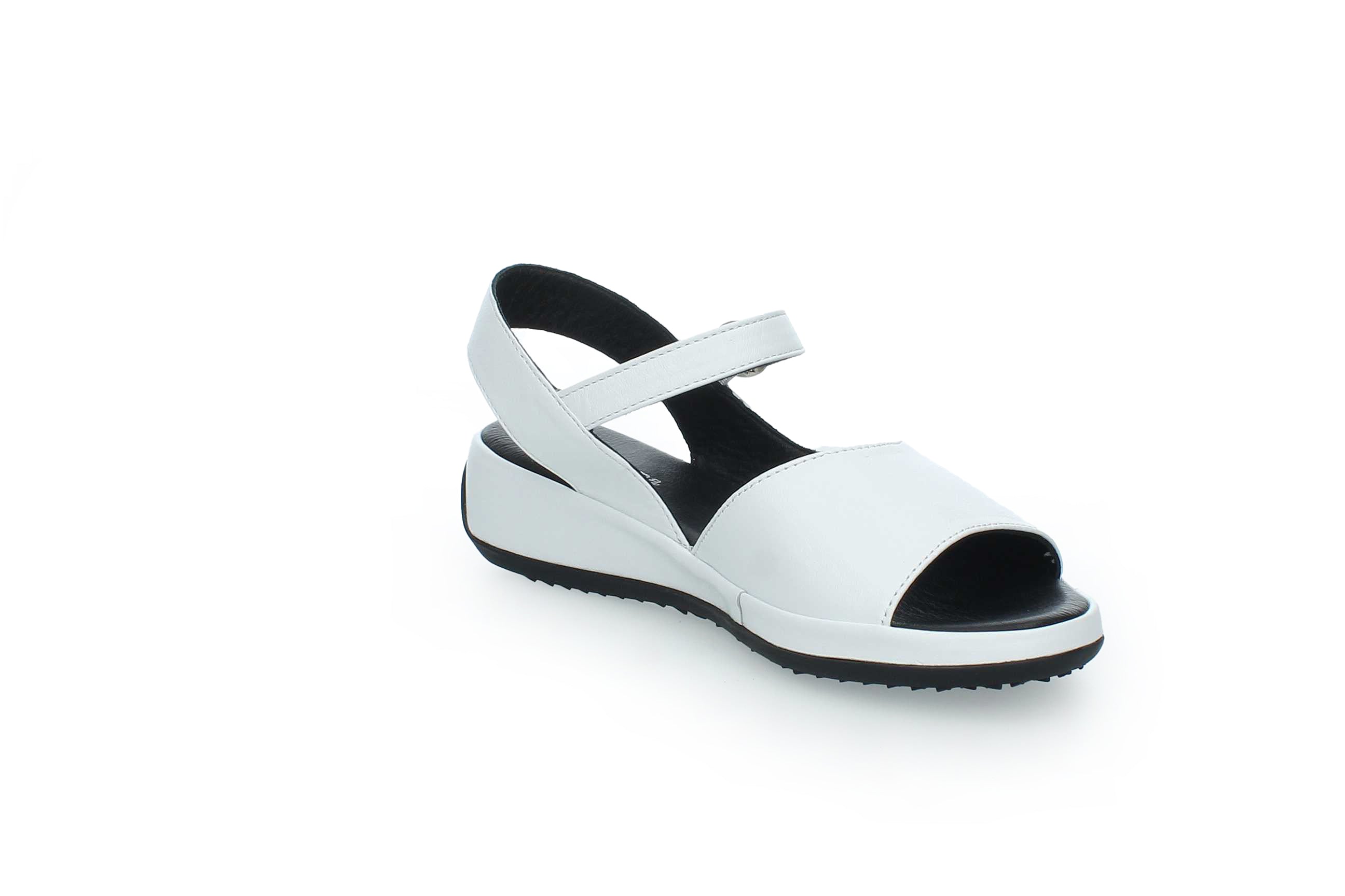 GraceWalk | 207-428