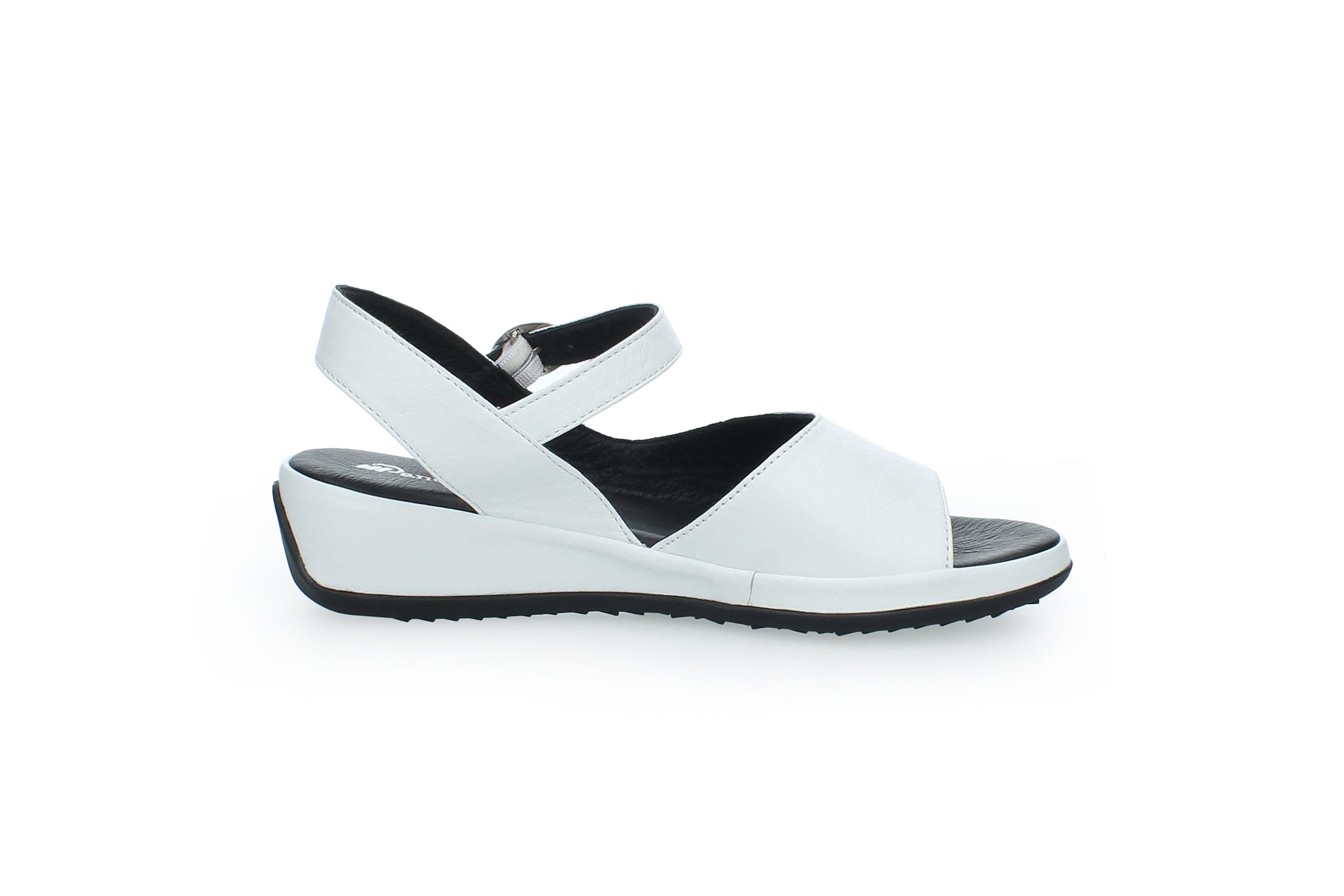 GraceWalk | 207-428