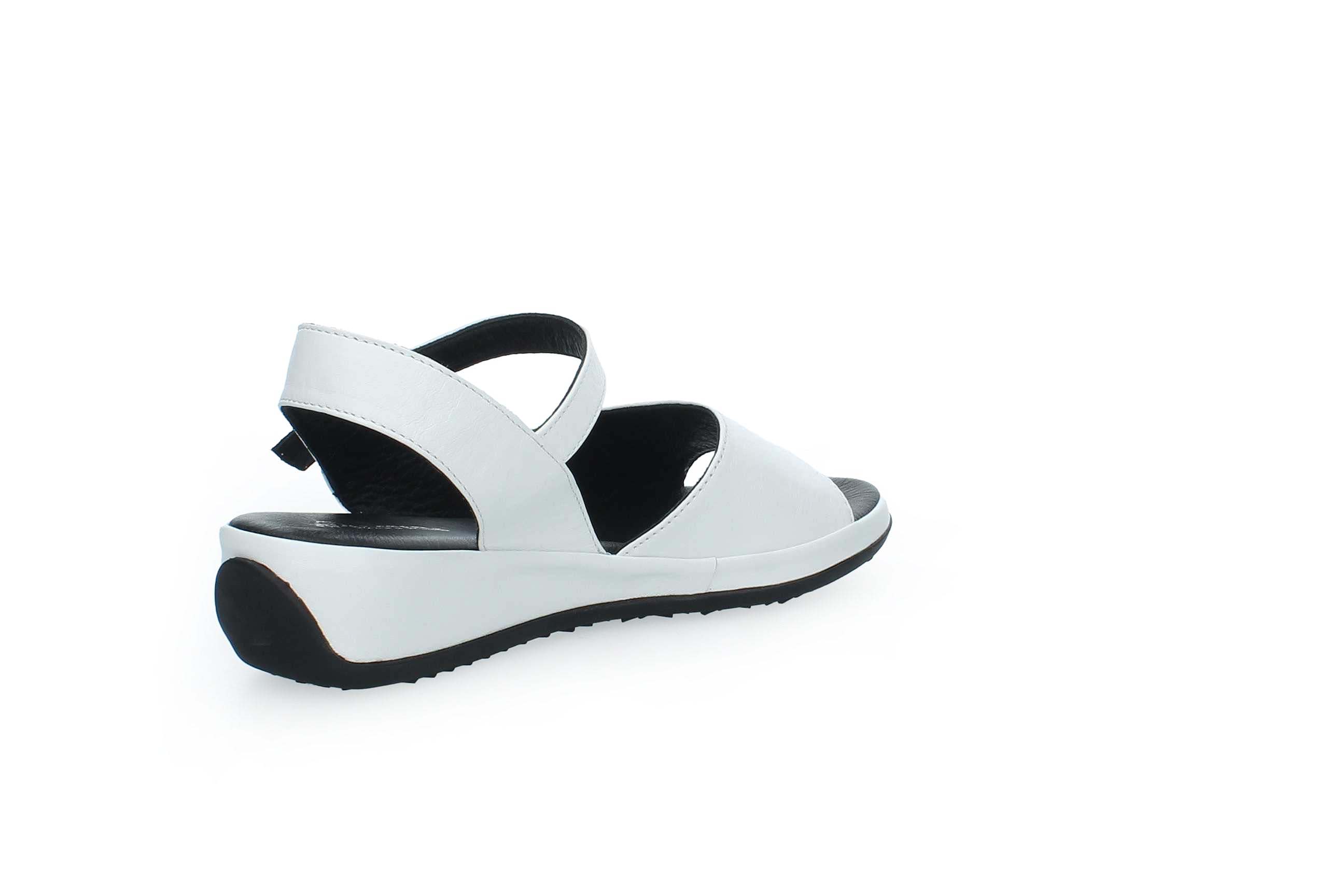 GraceWalk | 207-428