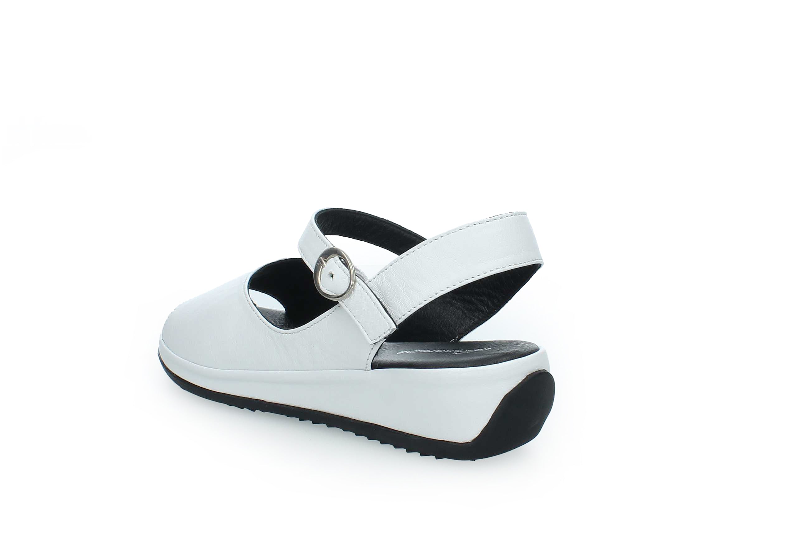 GraceWalk | 207-428