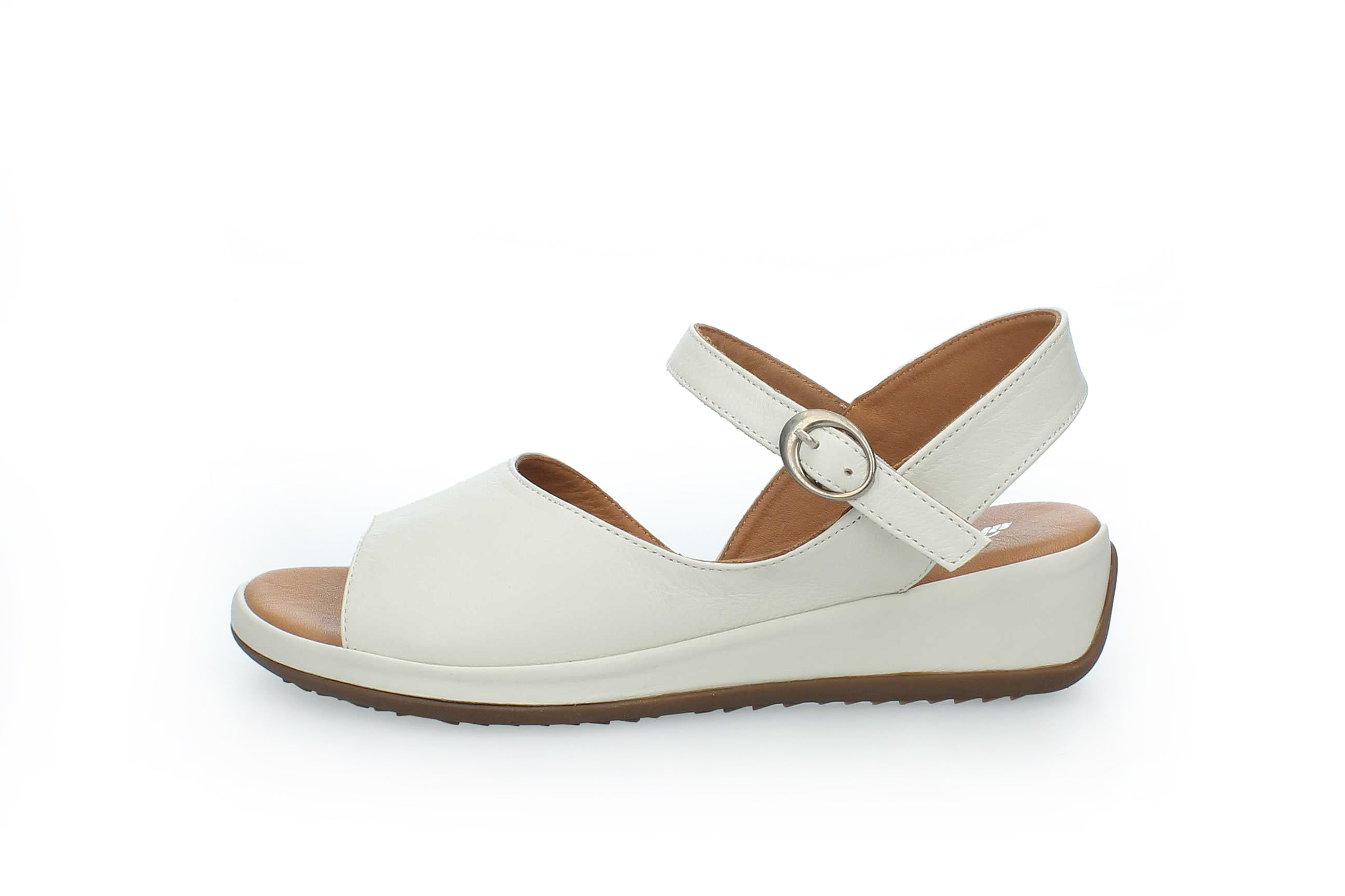 GraceWalk | 207-428