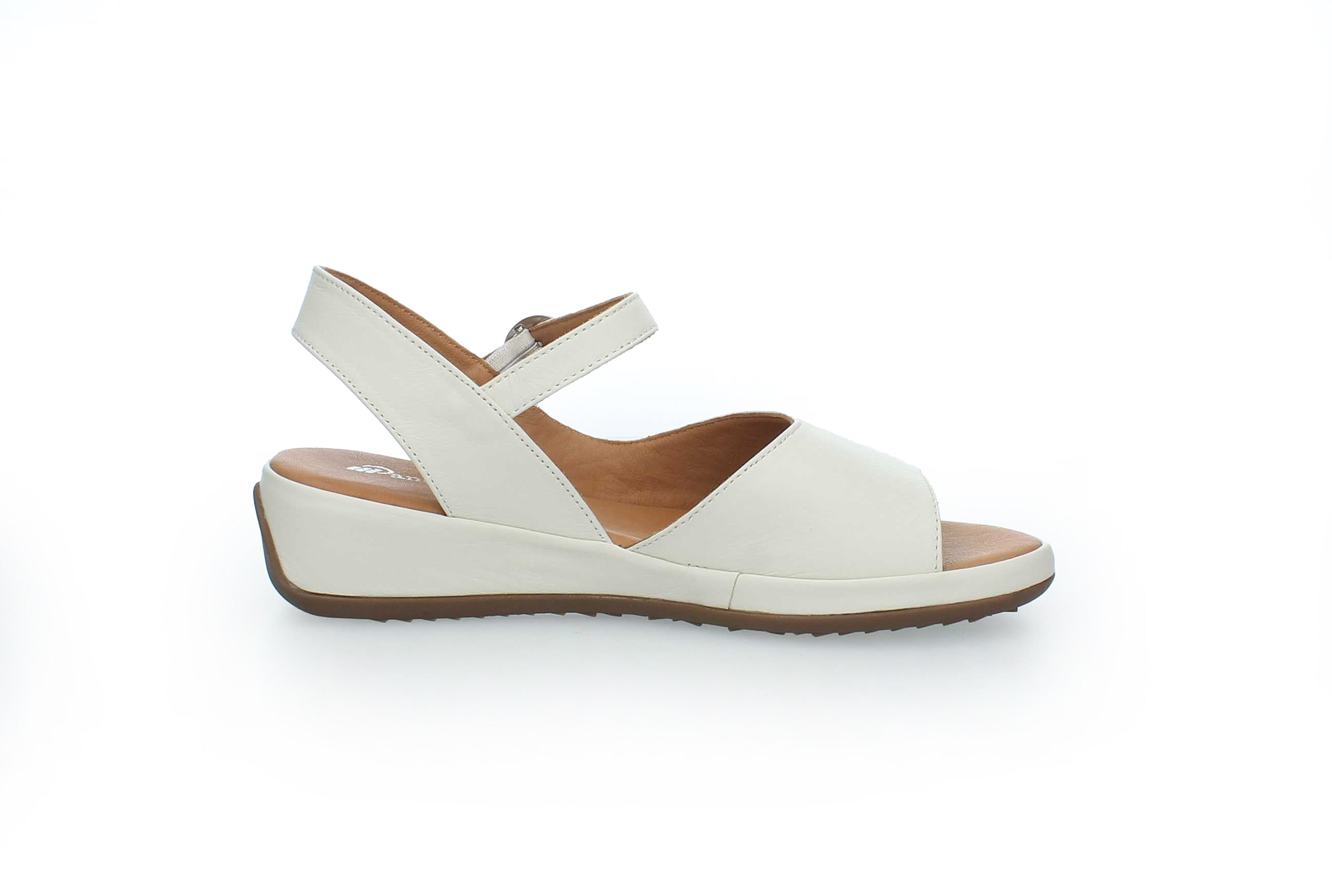 GraceWalk | 207-428