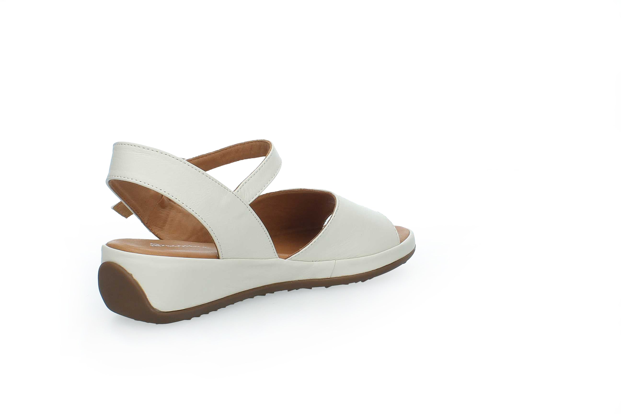 GraceWalk | 207-428