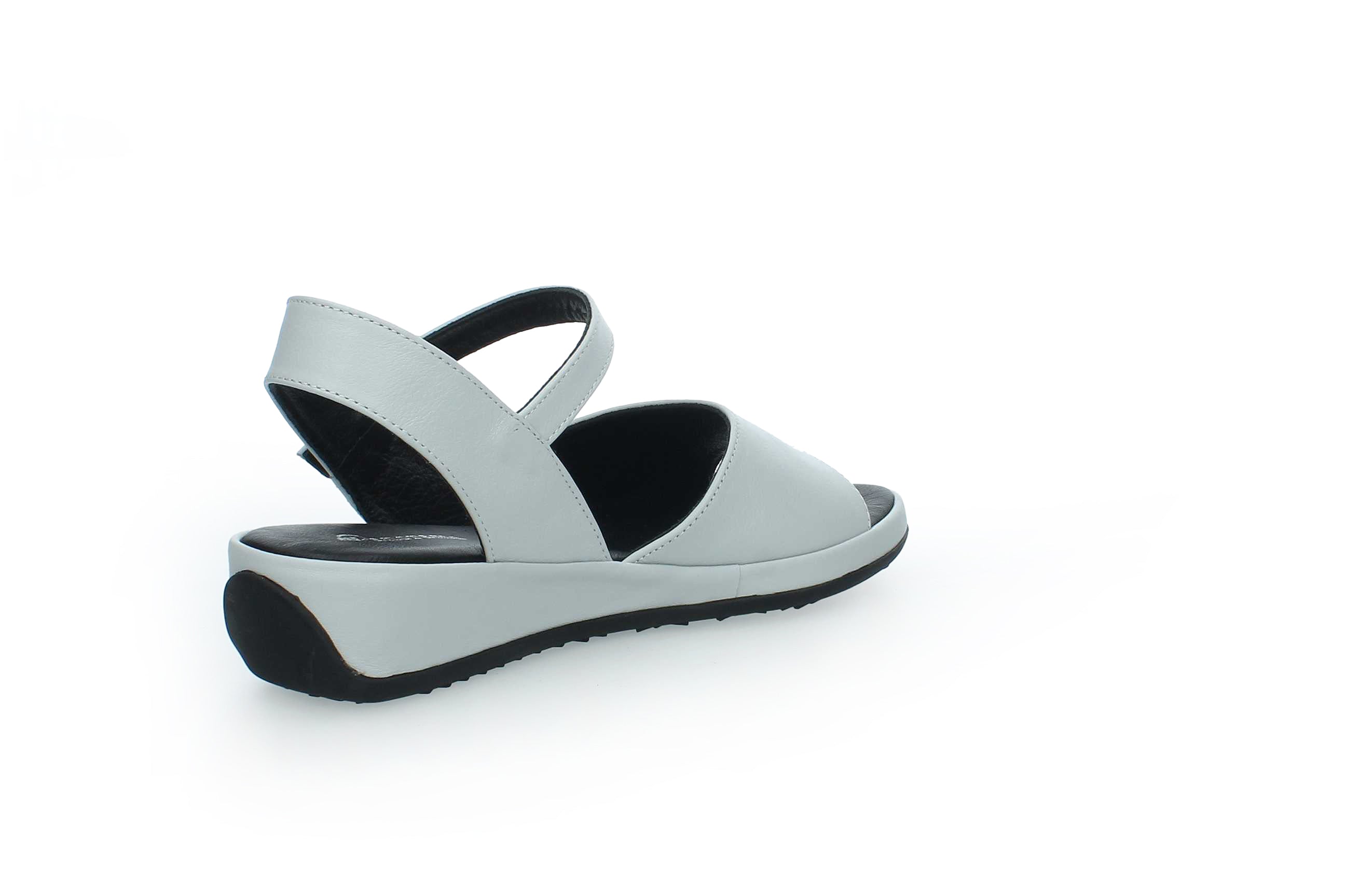 GraceWalk | 207-428