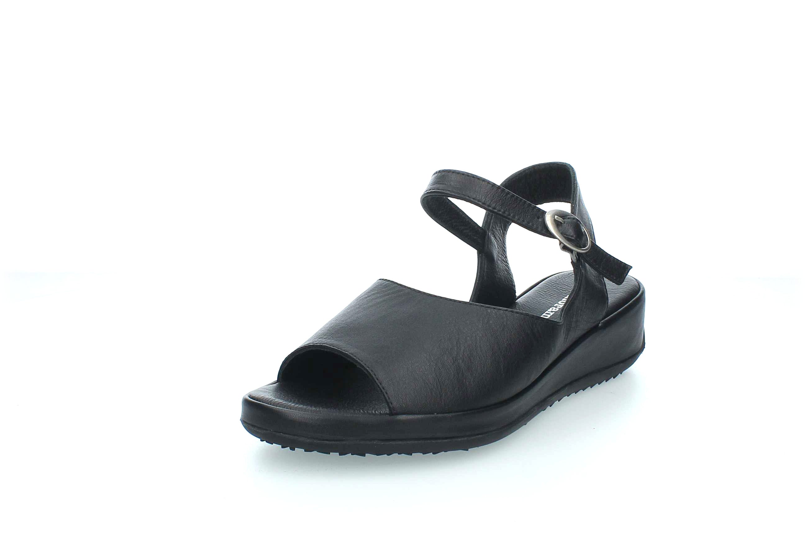 GraceWalk | 207-428