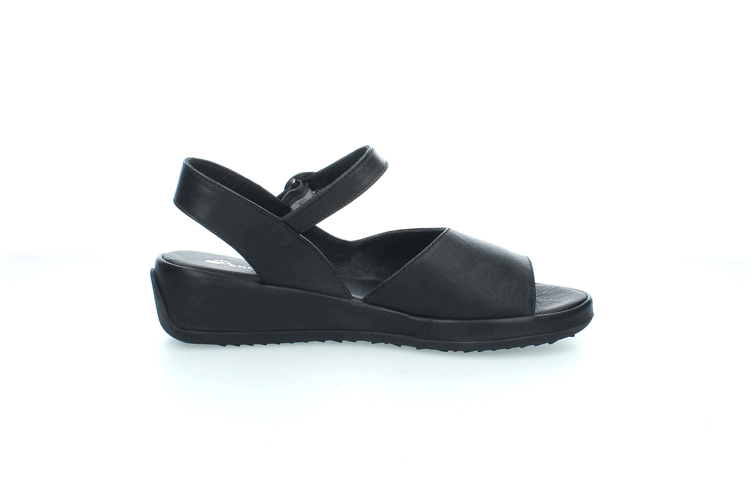 GraceWalk | 207-428