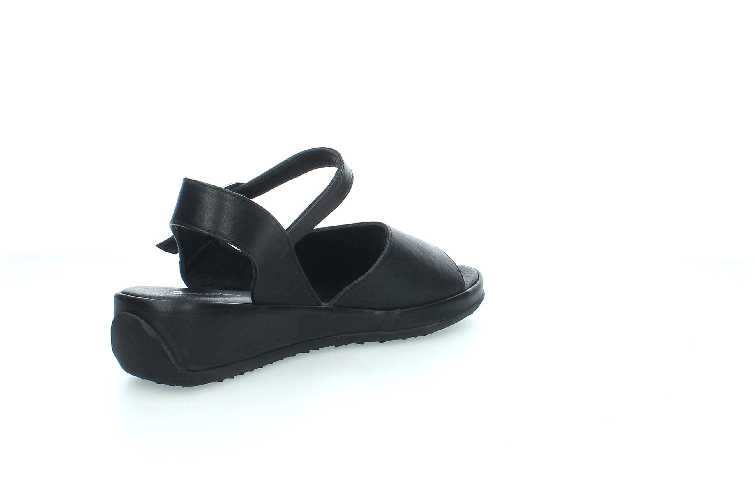 GraceWalk | 207-428